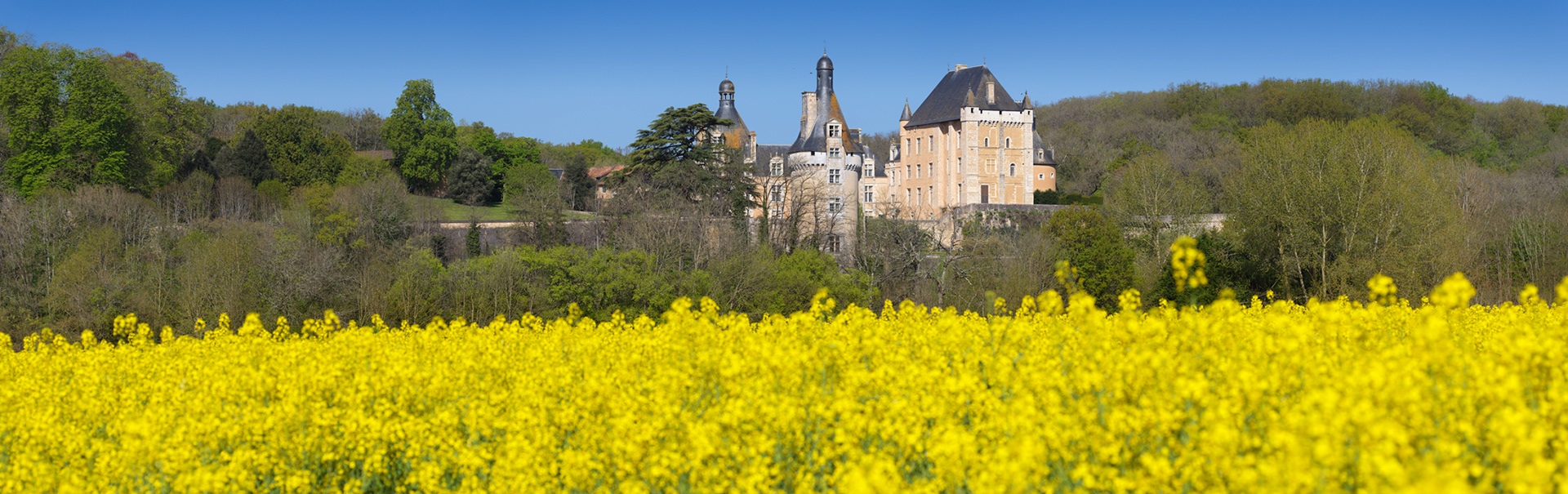 Château de Touffou, vue depuis un champ de colza, panoramique II