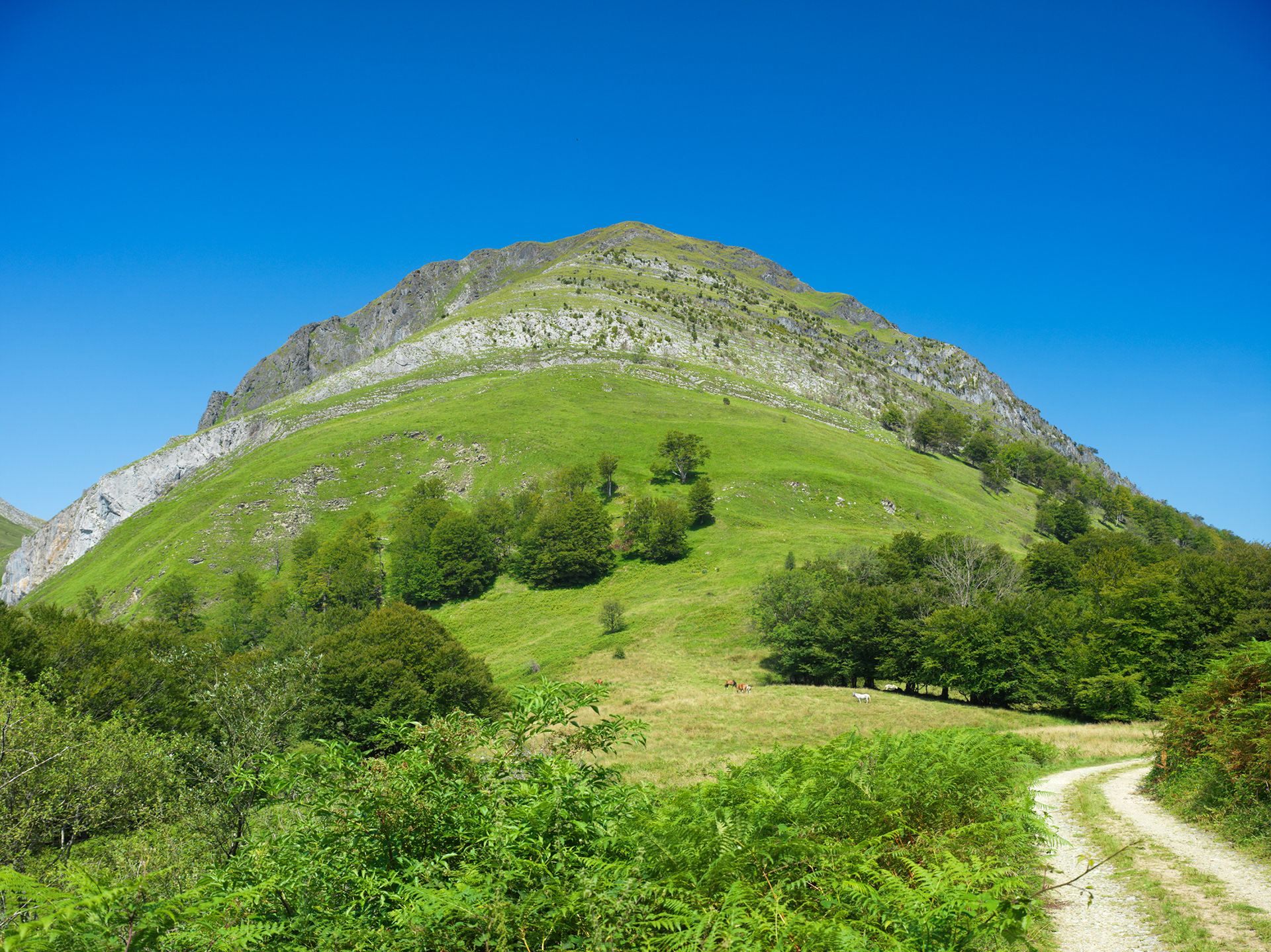 Vallée d'Aspe, vers Bedous, I