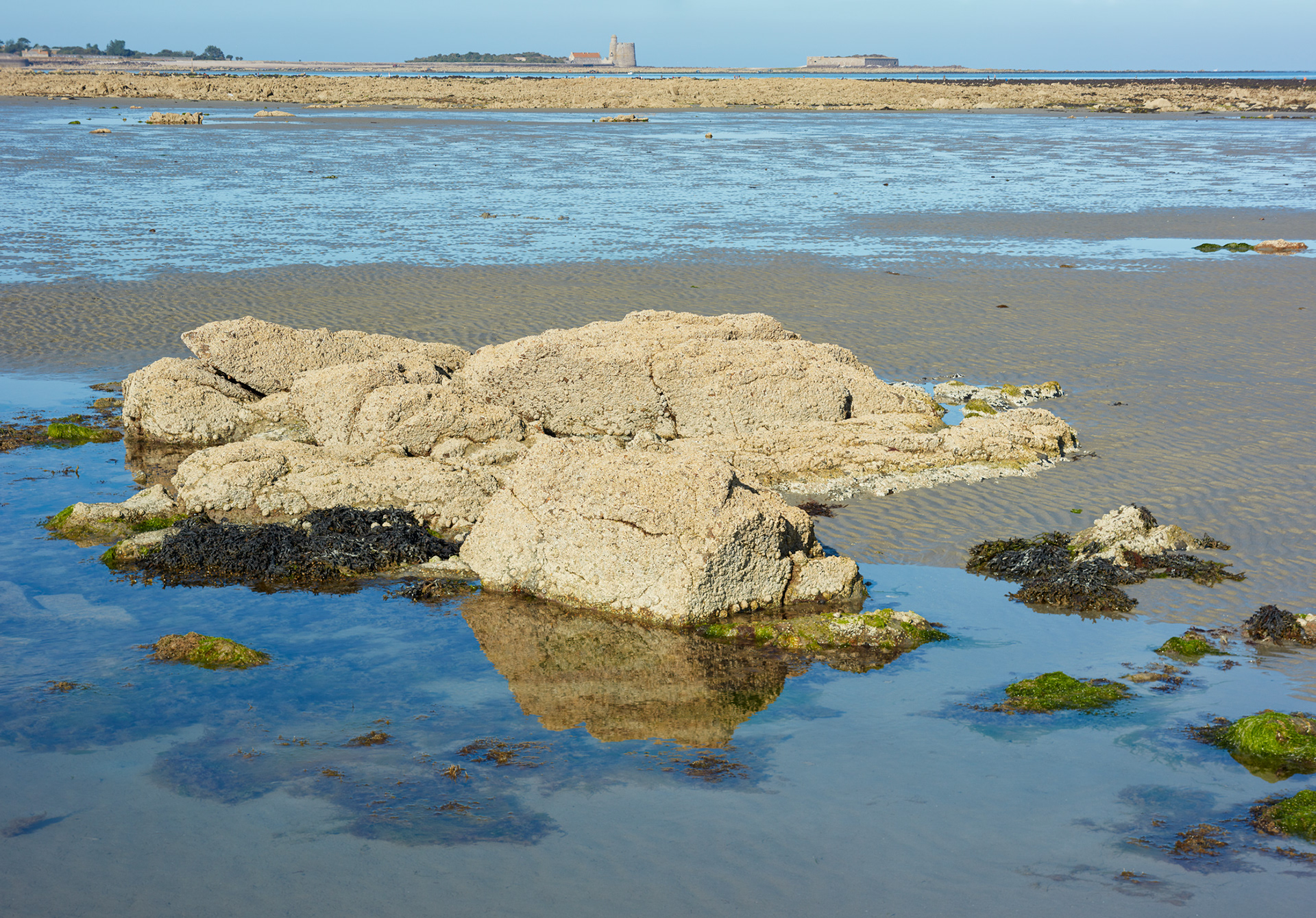 Saint-Vaast-La-Hougue, vue du fort de Tatihou et du fort de l'îlet, II