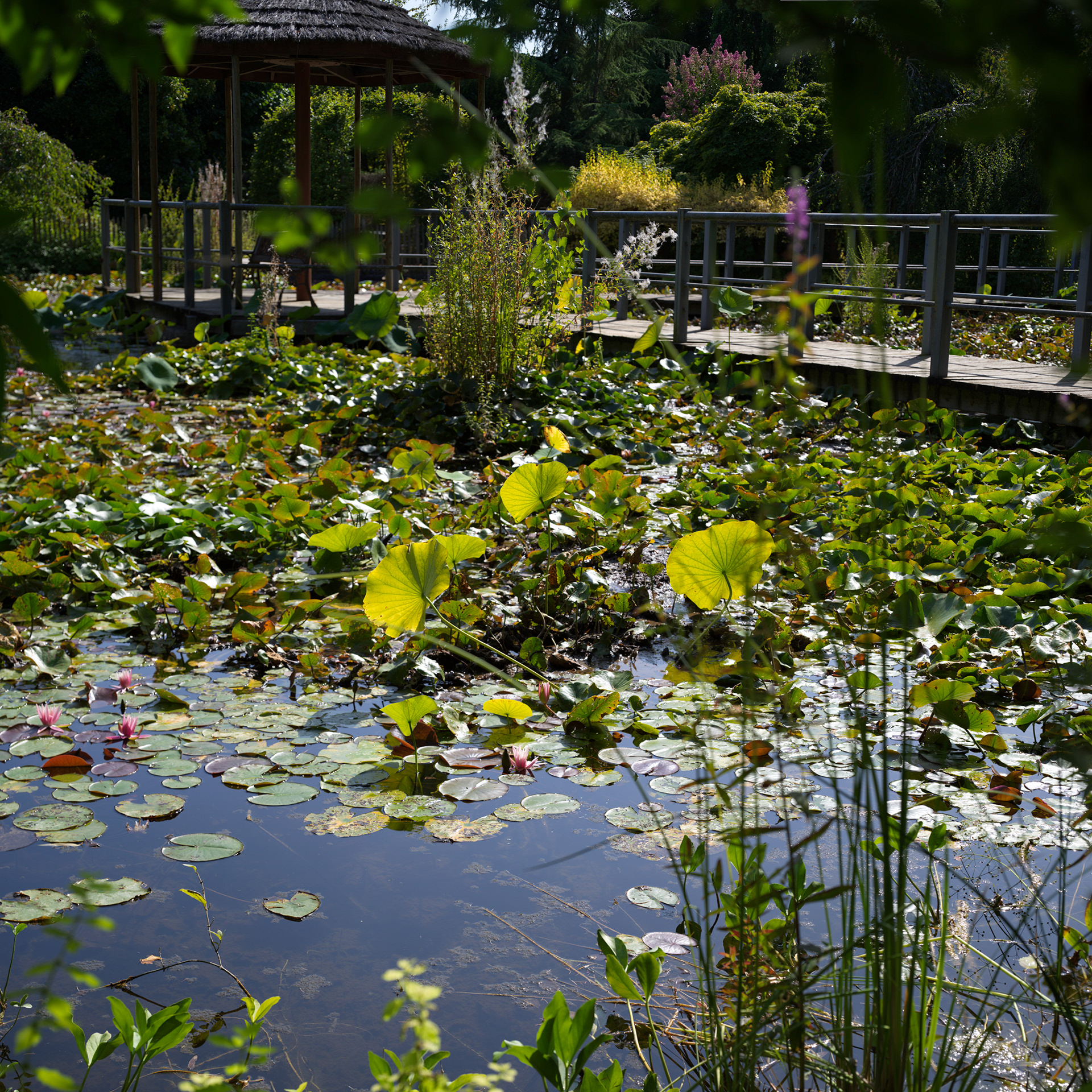 Jardins de Beauchamp, à côté de la jardinerie Jay, Marmandes, III
