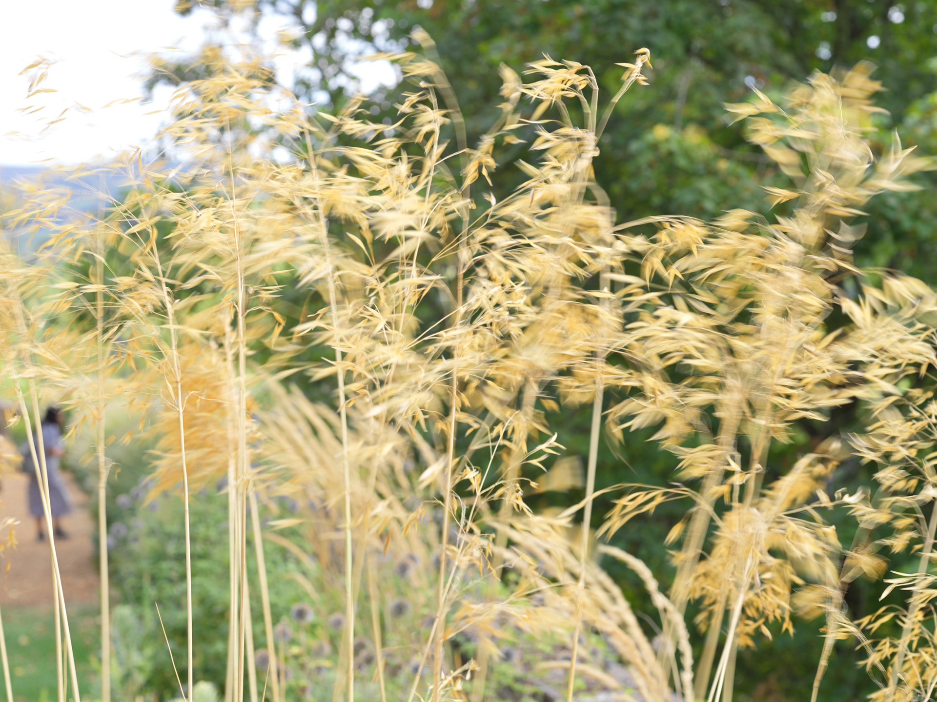 Jardin panoramique de Limeuil, IV