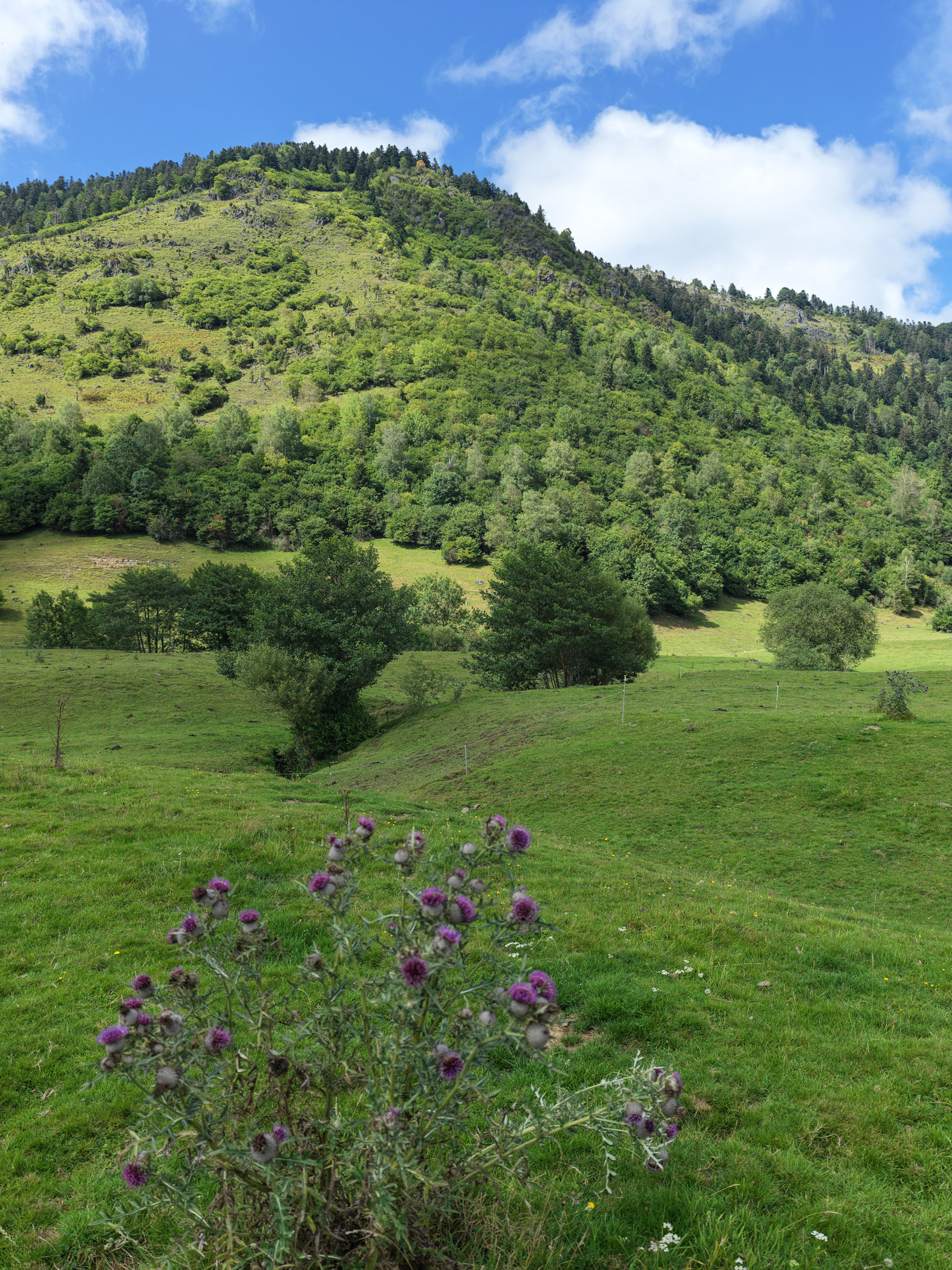 Plateau du Bénou, III