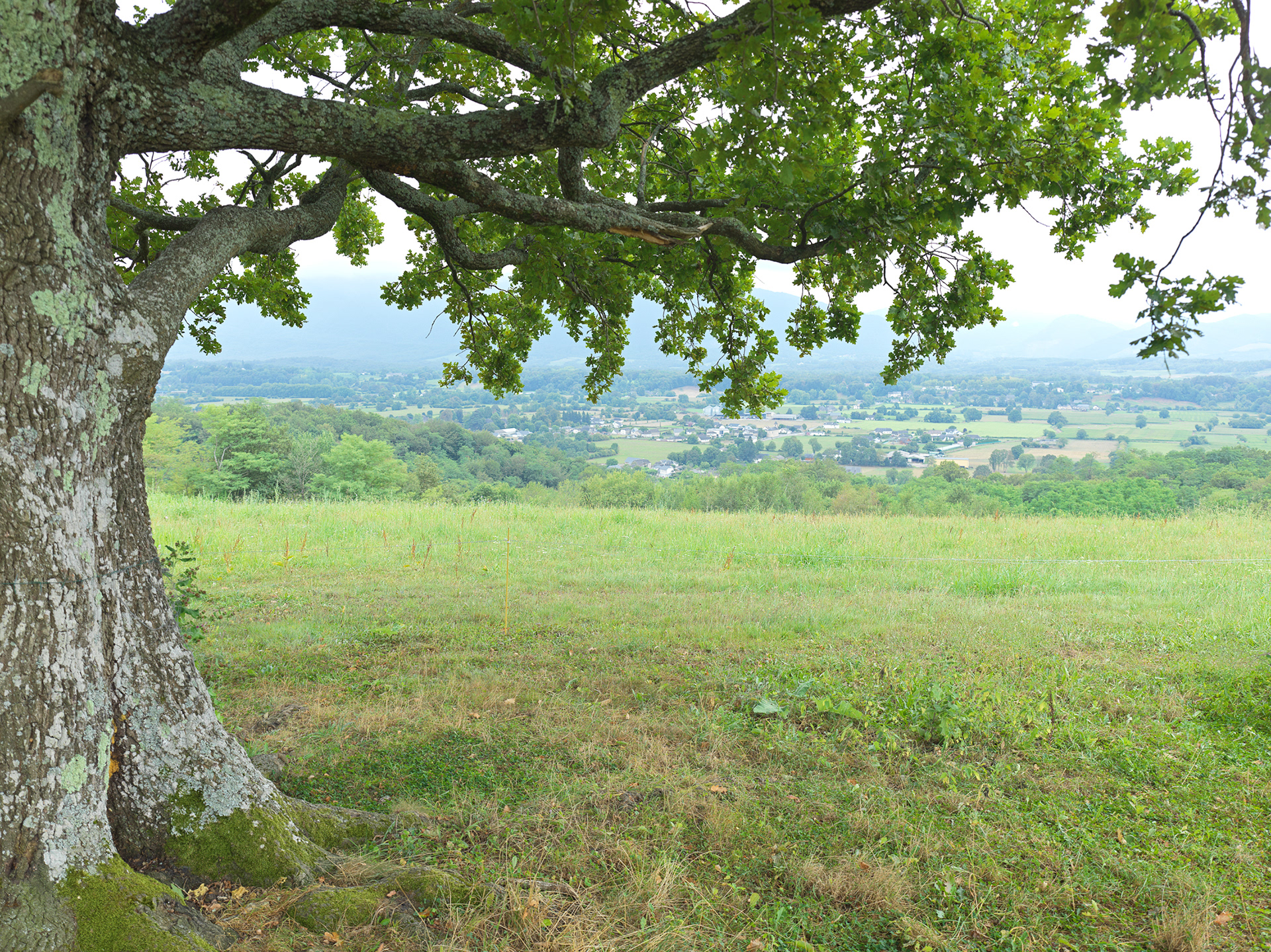 Vue de la vallée près du dolmen de Peyrecor I, près d'Escou