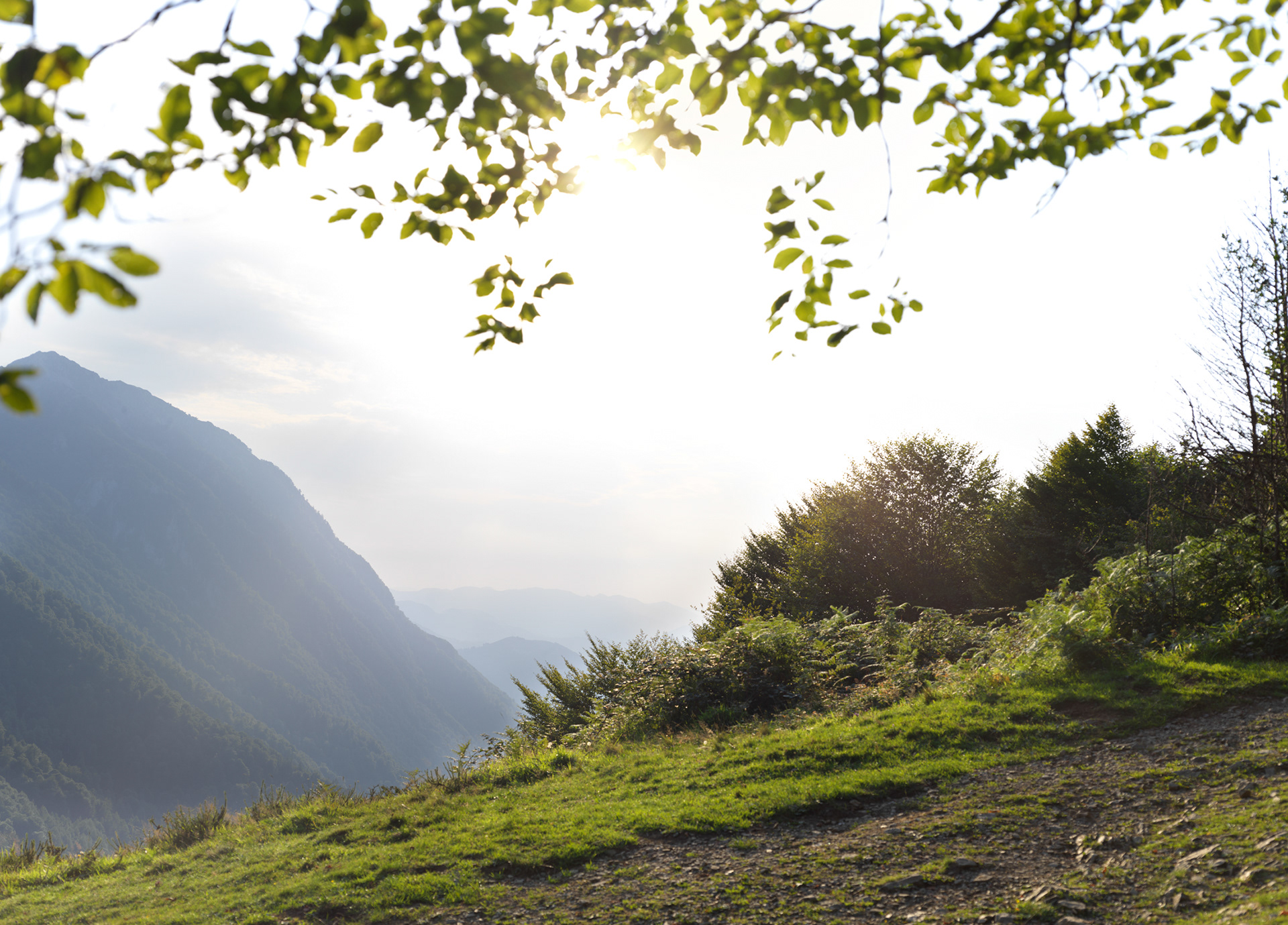 Col de Marie-Blanque