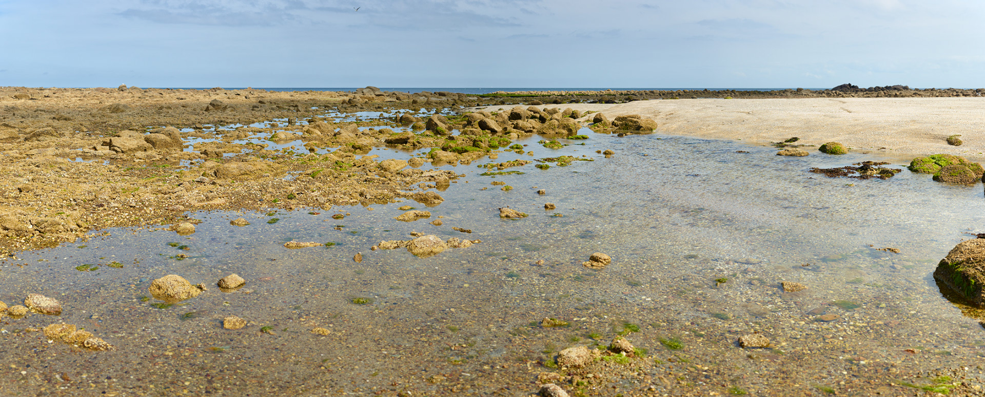 Fort de Tatihou, estran