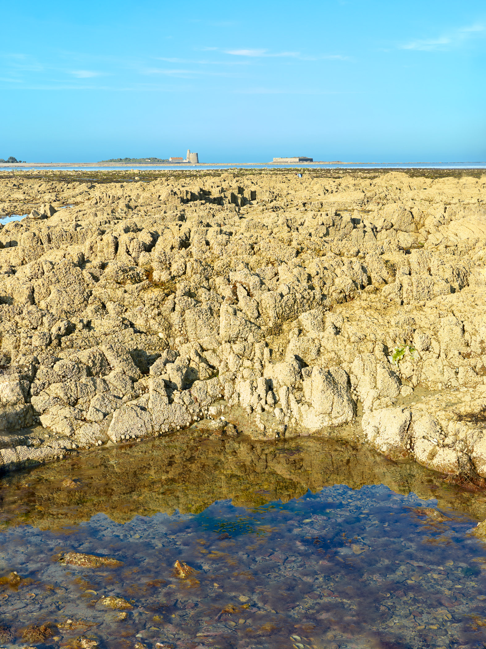 Saint-Vaast-La-Hougue, vue du fort de Tatihou et du fort de l'îlet, I