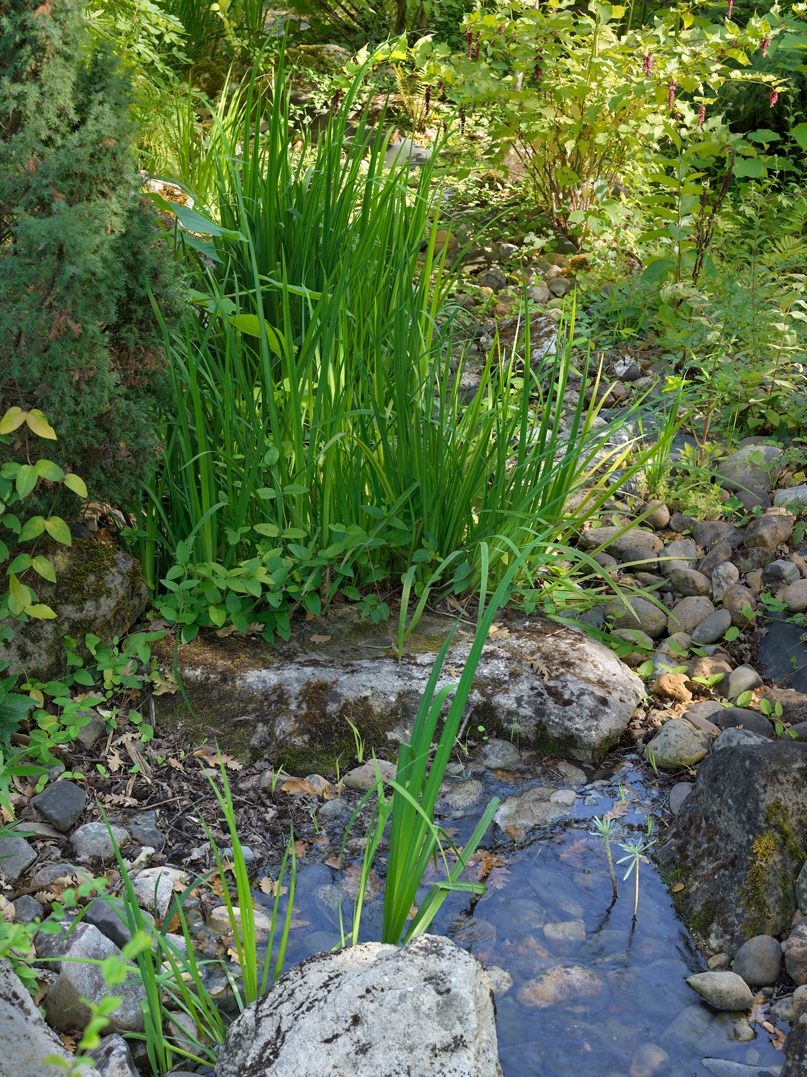 Jardins de Beauchamp, à côté de la jardinerie Jay, Marmandes, VI