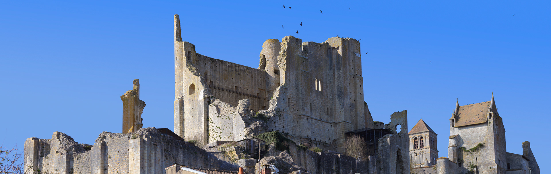 Les ruines du château baronnial (XIIe siècle), ancien château des Évêques de Poitiers, vue depuis le parc, I