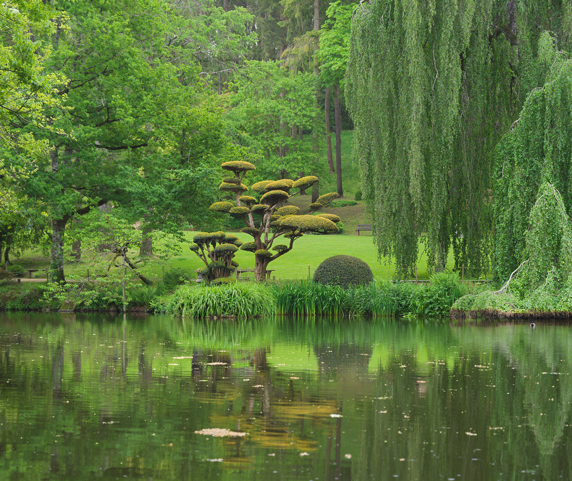 Jardin oriental de Maulévrier, I