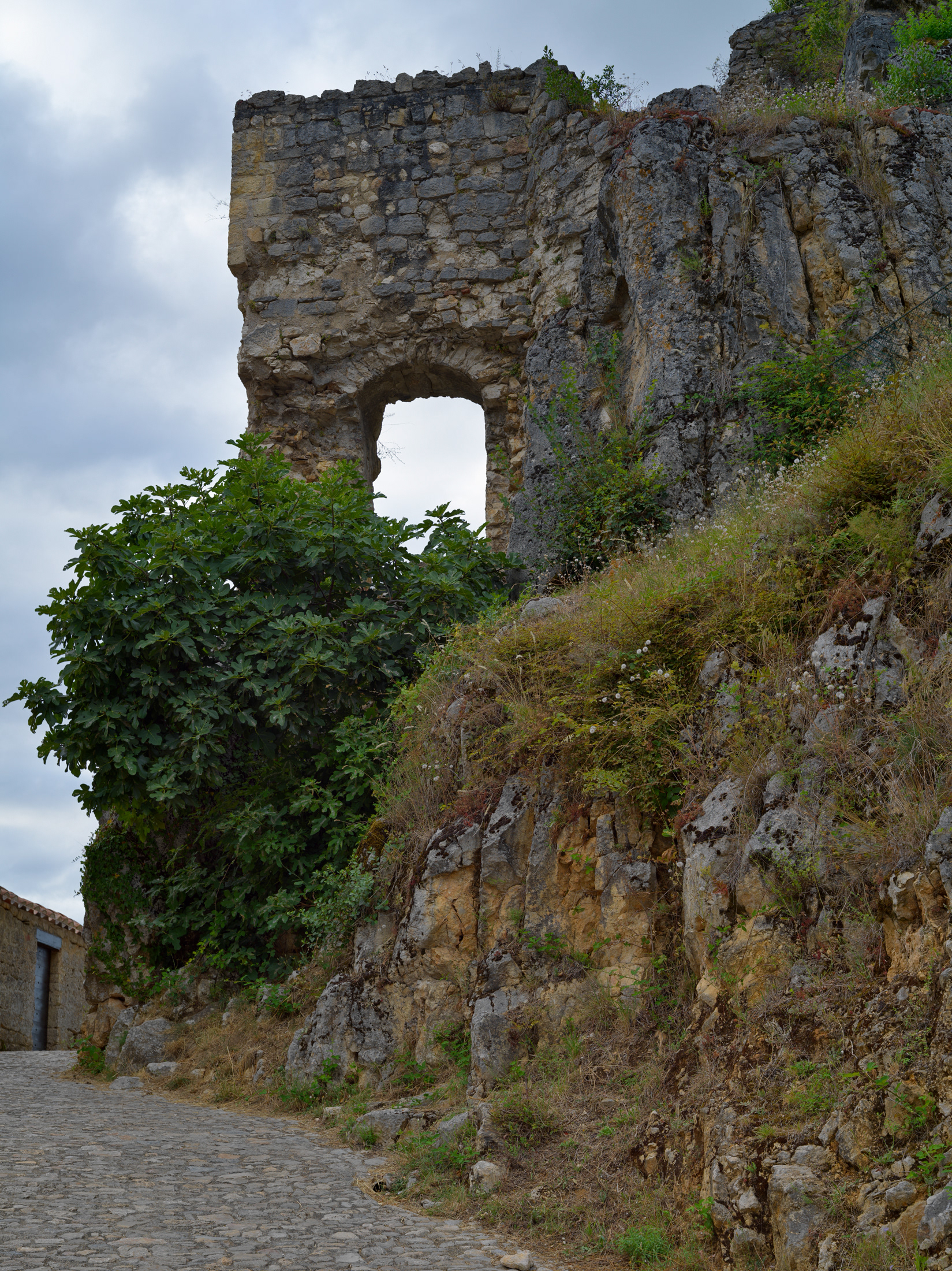 Ruines du château des Cardaillac