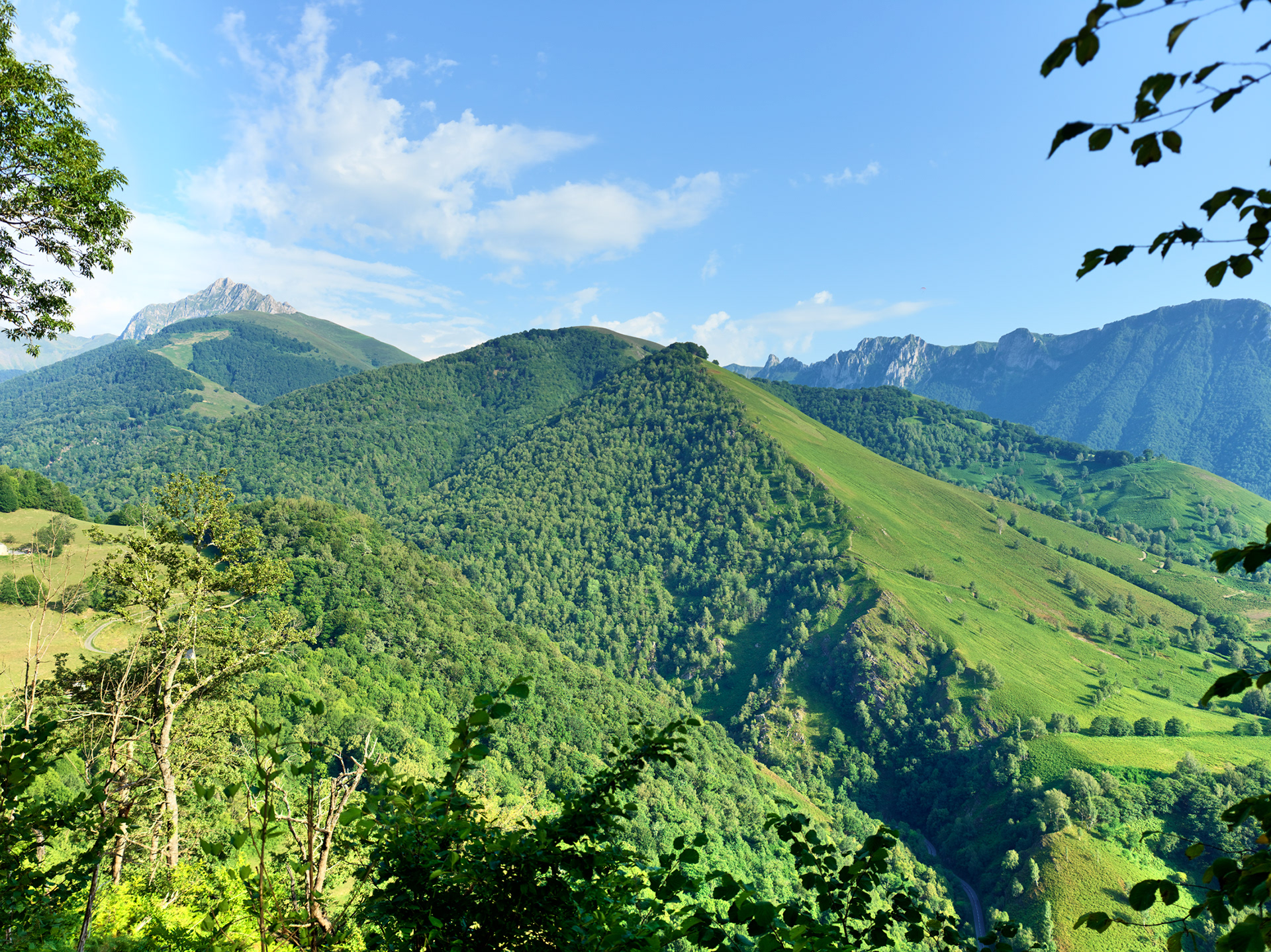 Vallée d'Aspe, vers Bedous, VII