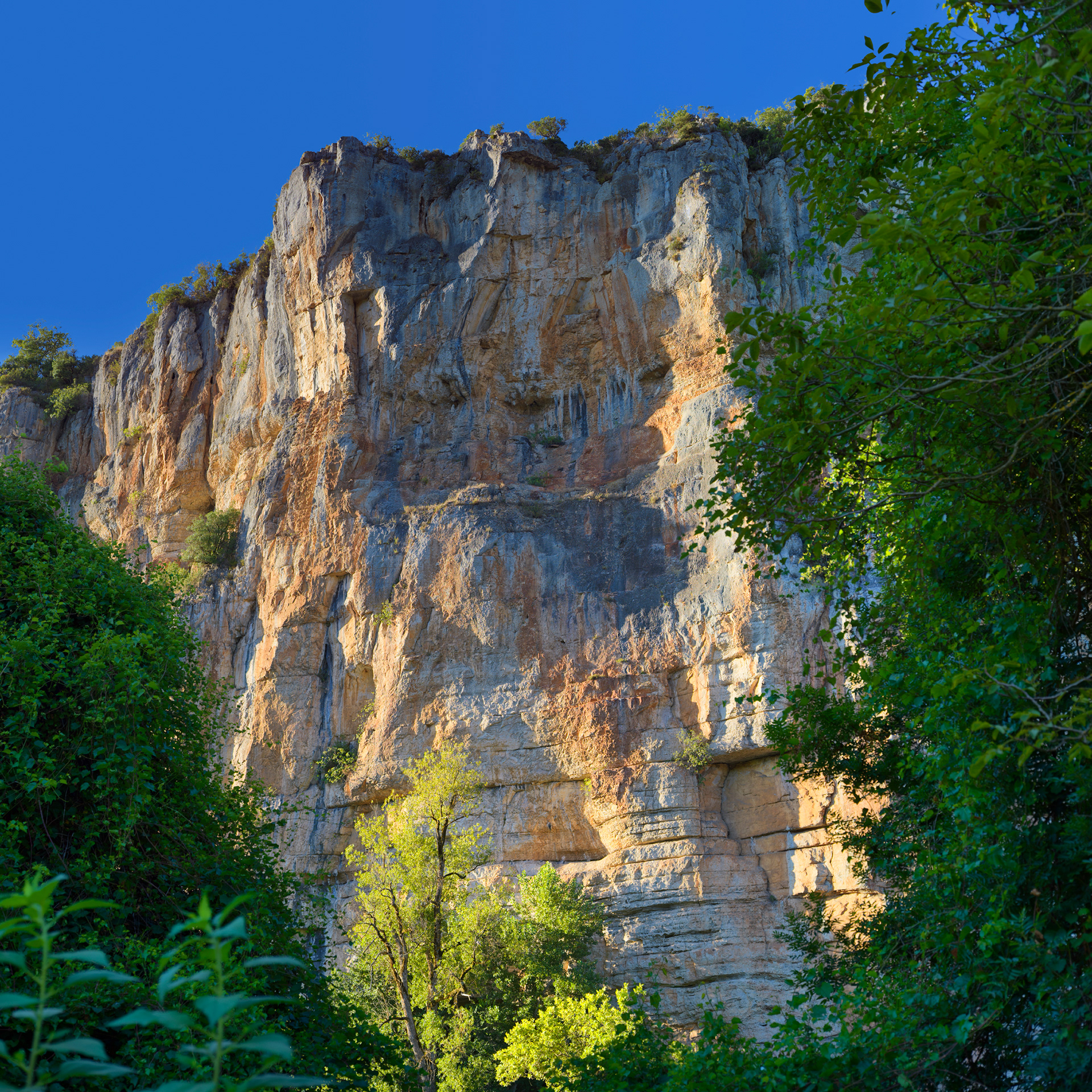 Falaise des berges du Lot, II