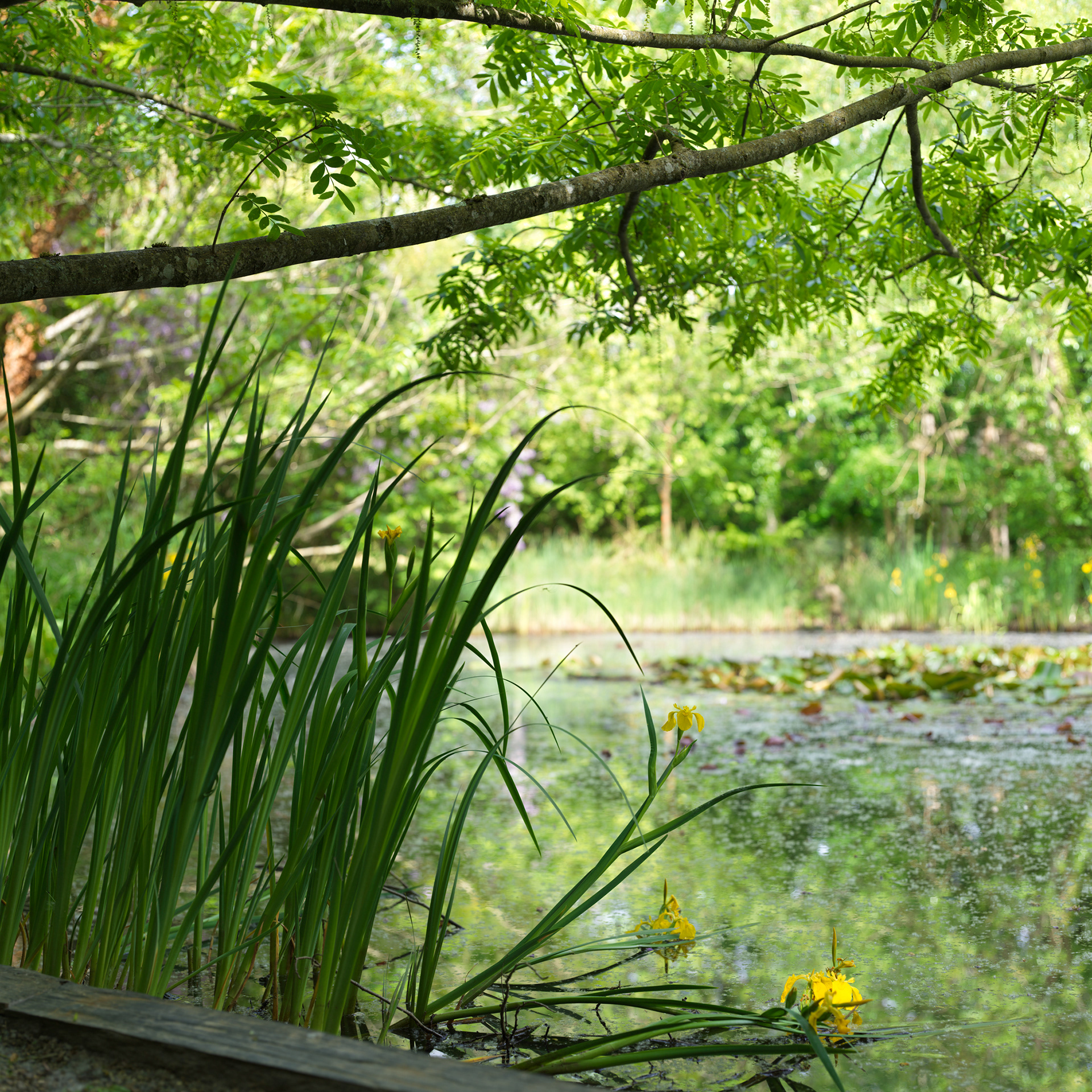 Jardin de Chaumont, IV