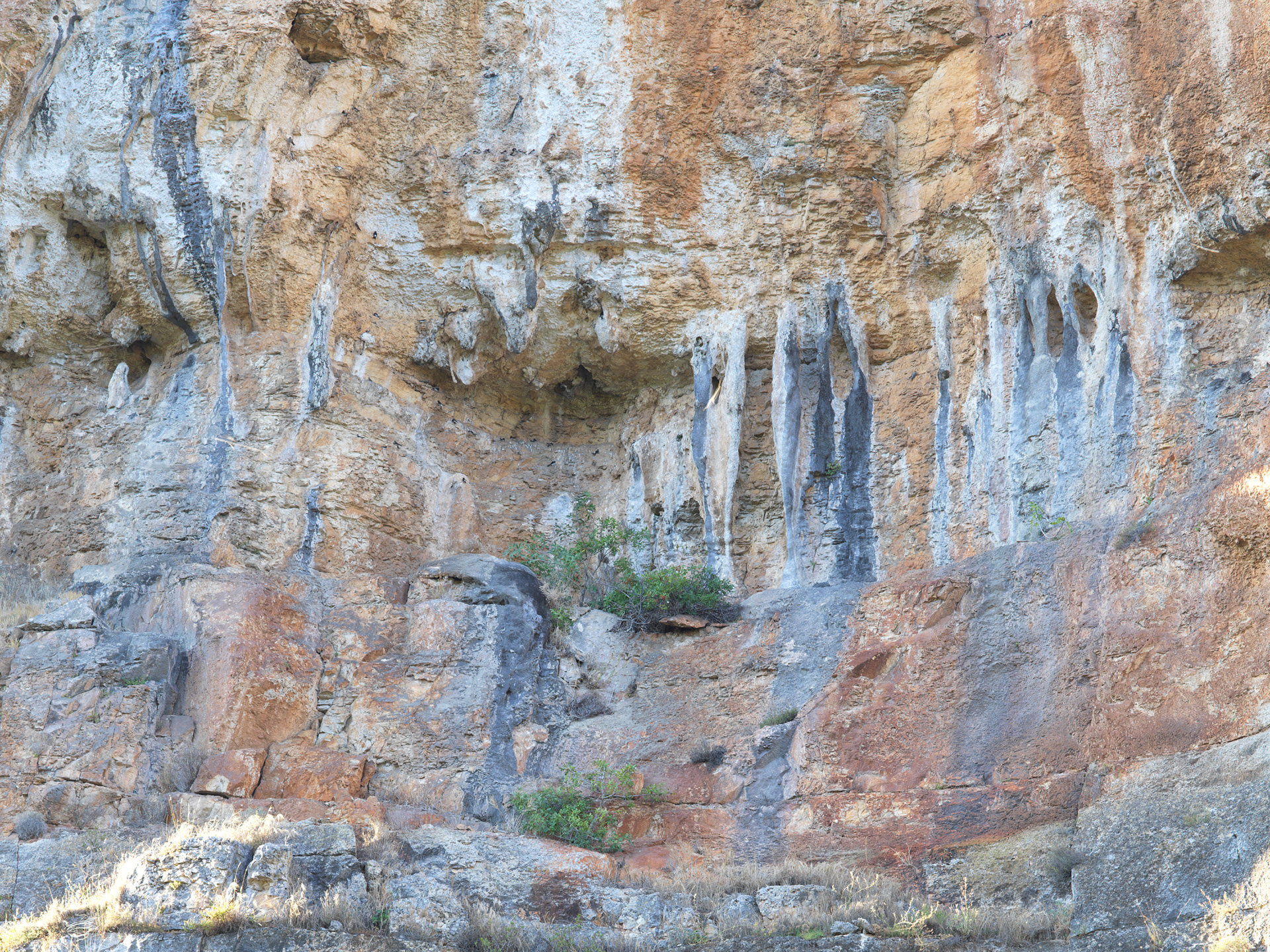 Falaise des berges du Lot, I