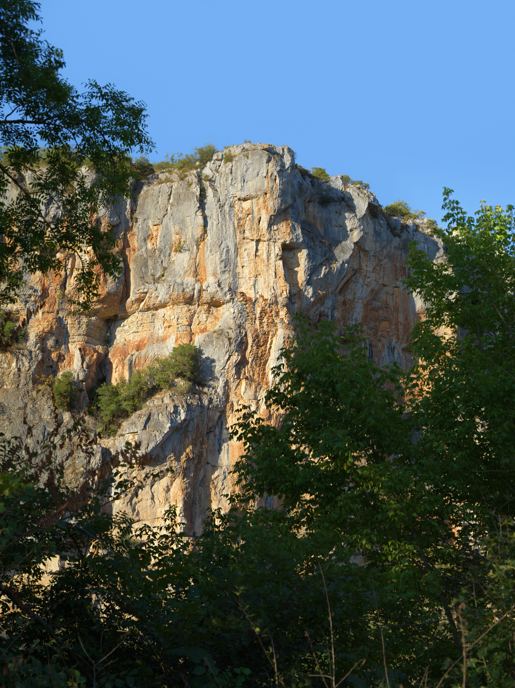 Falaise des berges du Lot, V
