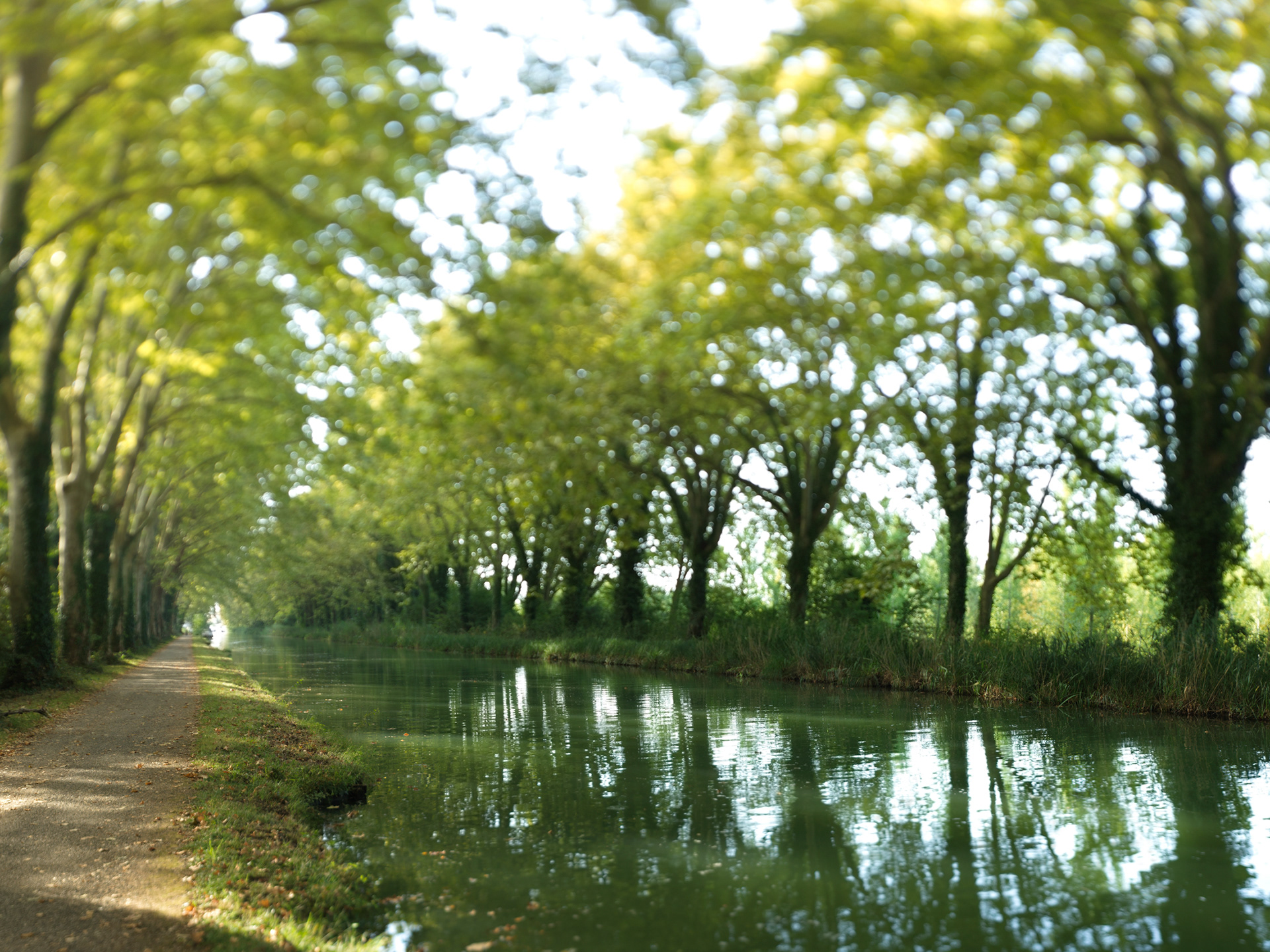 Canal de Garonne, VII