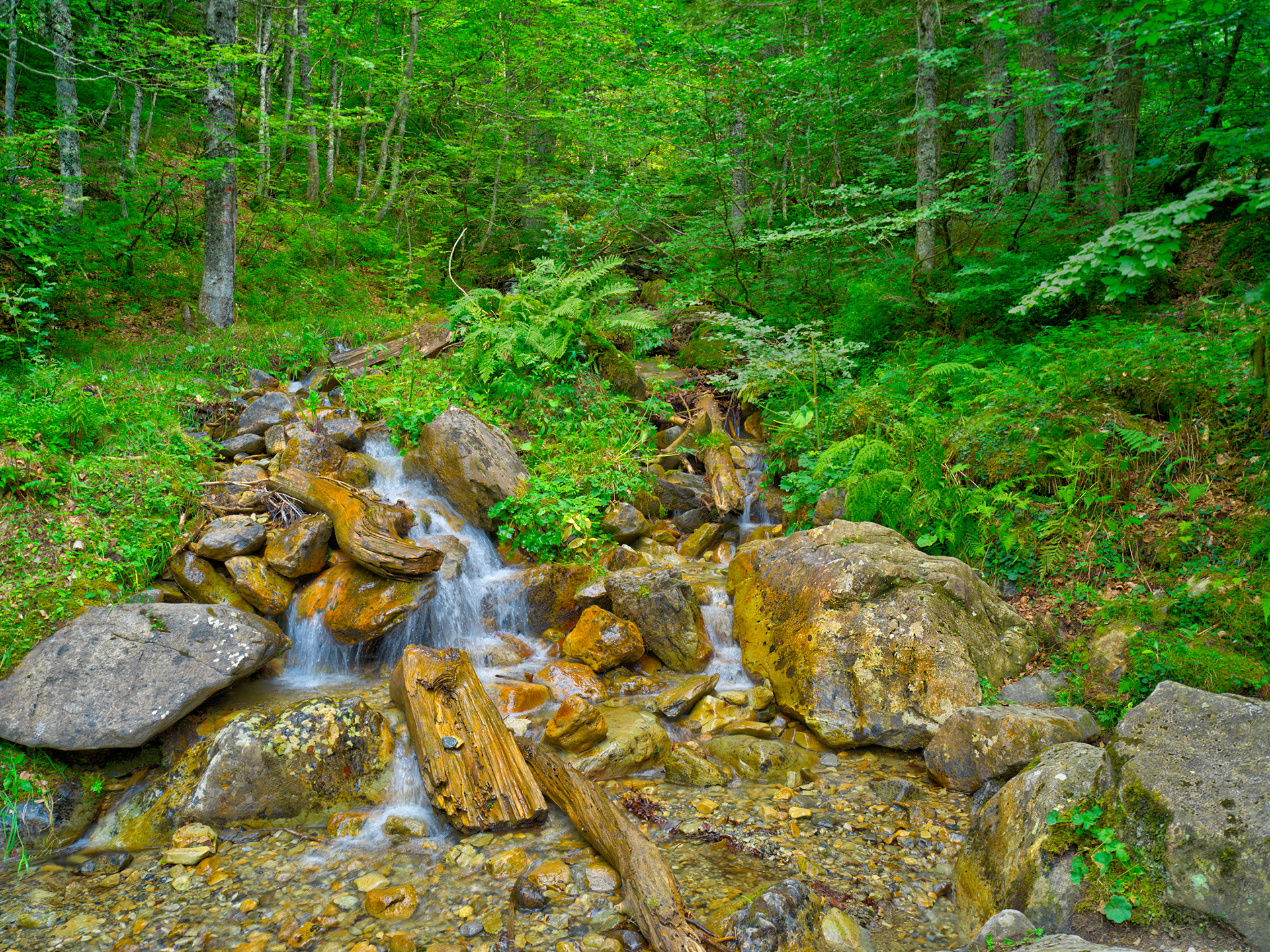 Promenade autour du lac, II