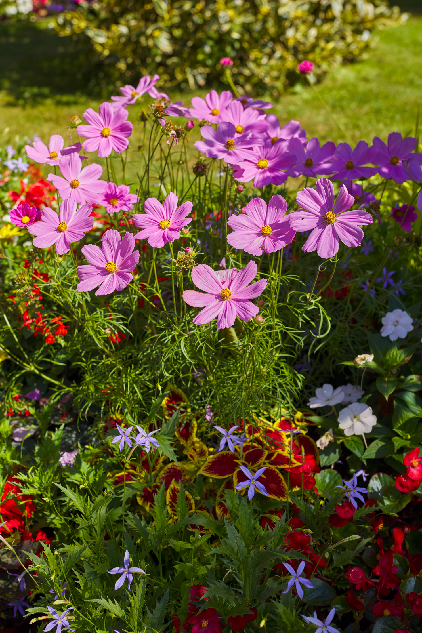 Granville, jardin Christian Dior, IV