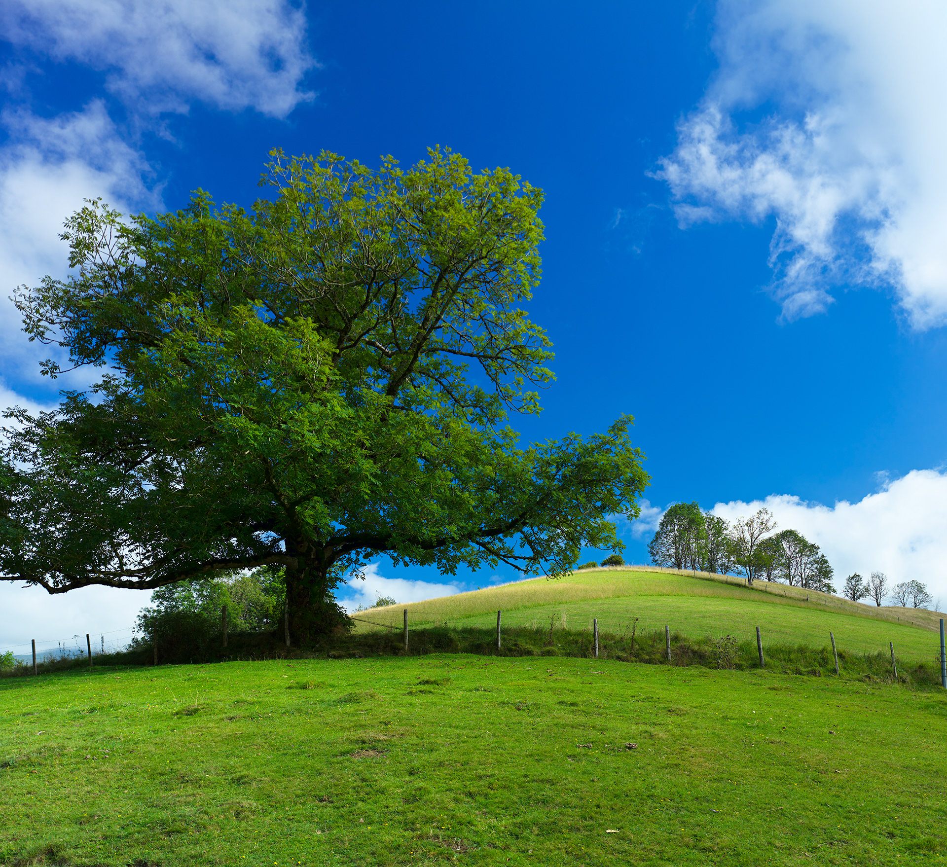 Plateau du Bénou, VII