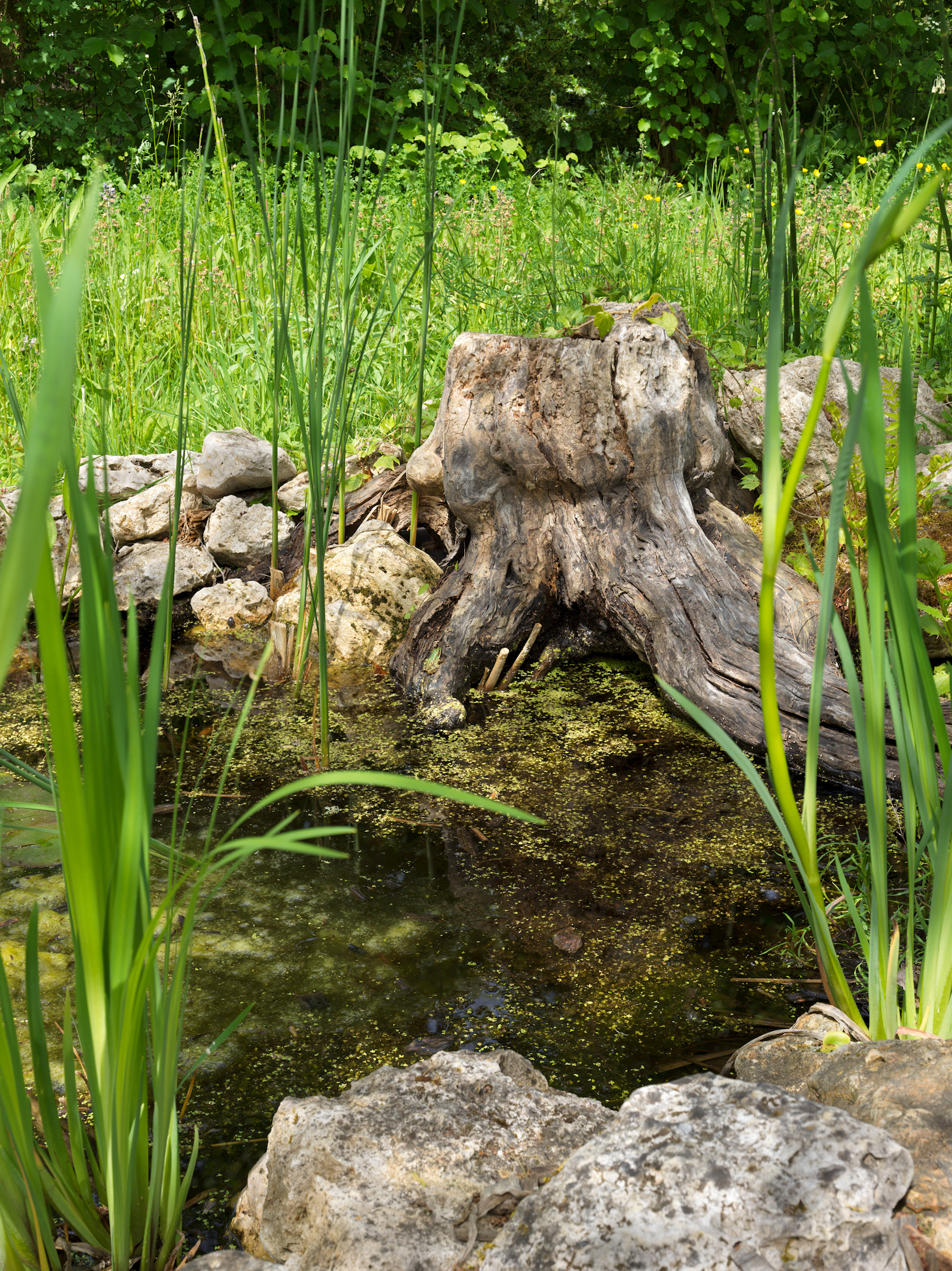 Jardin de Chaumont, XIV