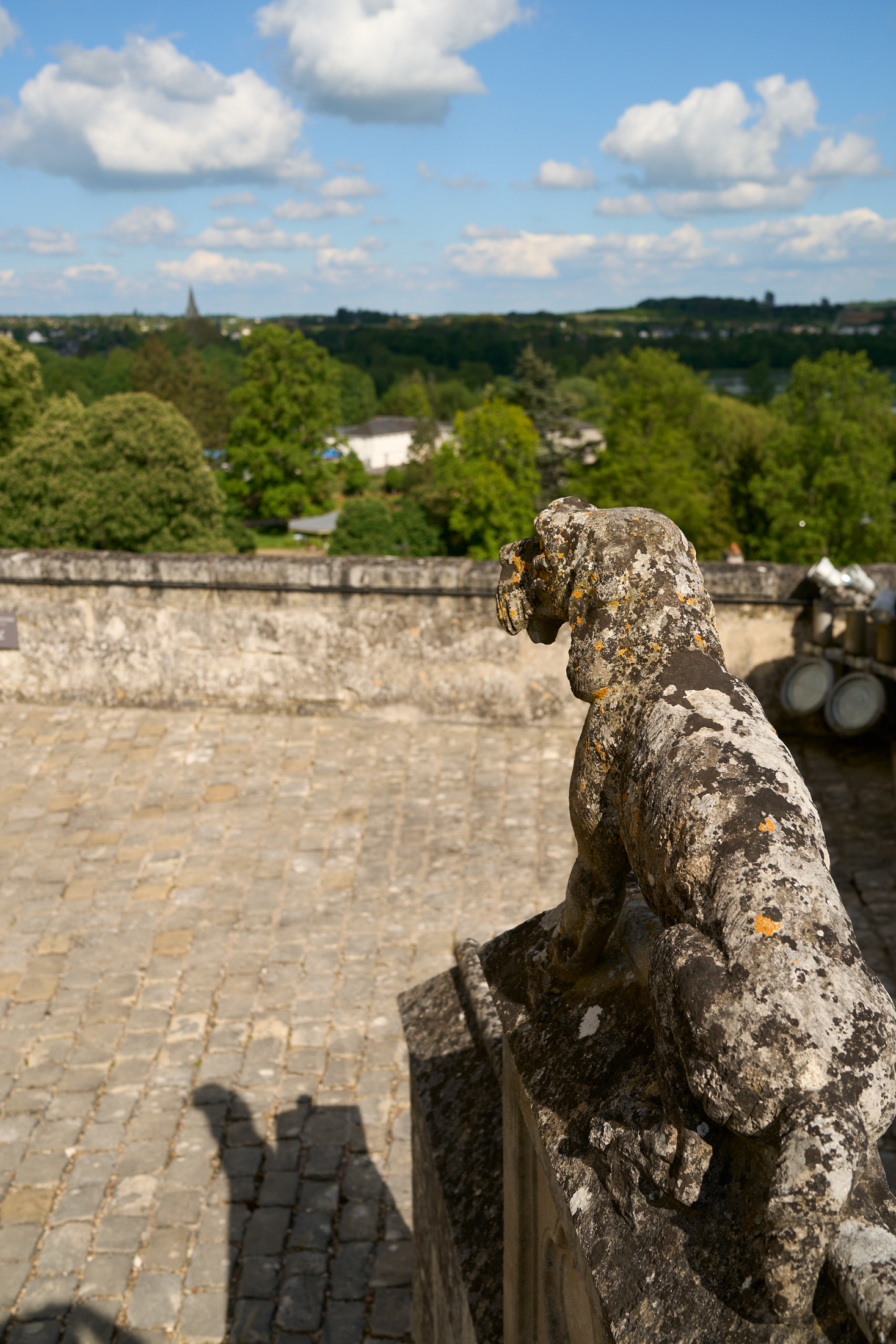 Logis royal, statue de chien en pierre