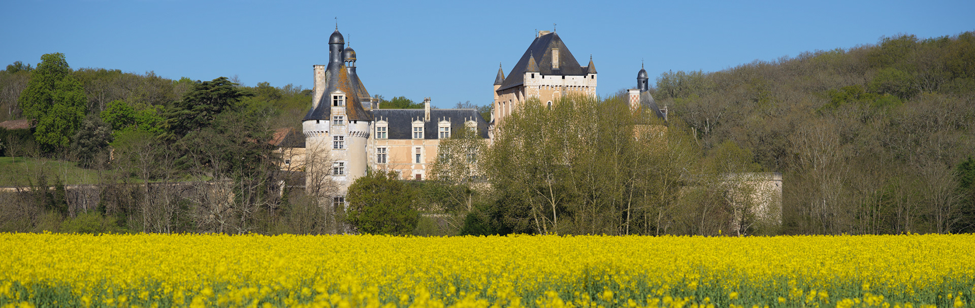 Château de Touffou, vue depuis un champ de colza, panoramique I