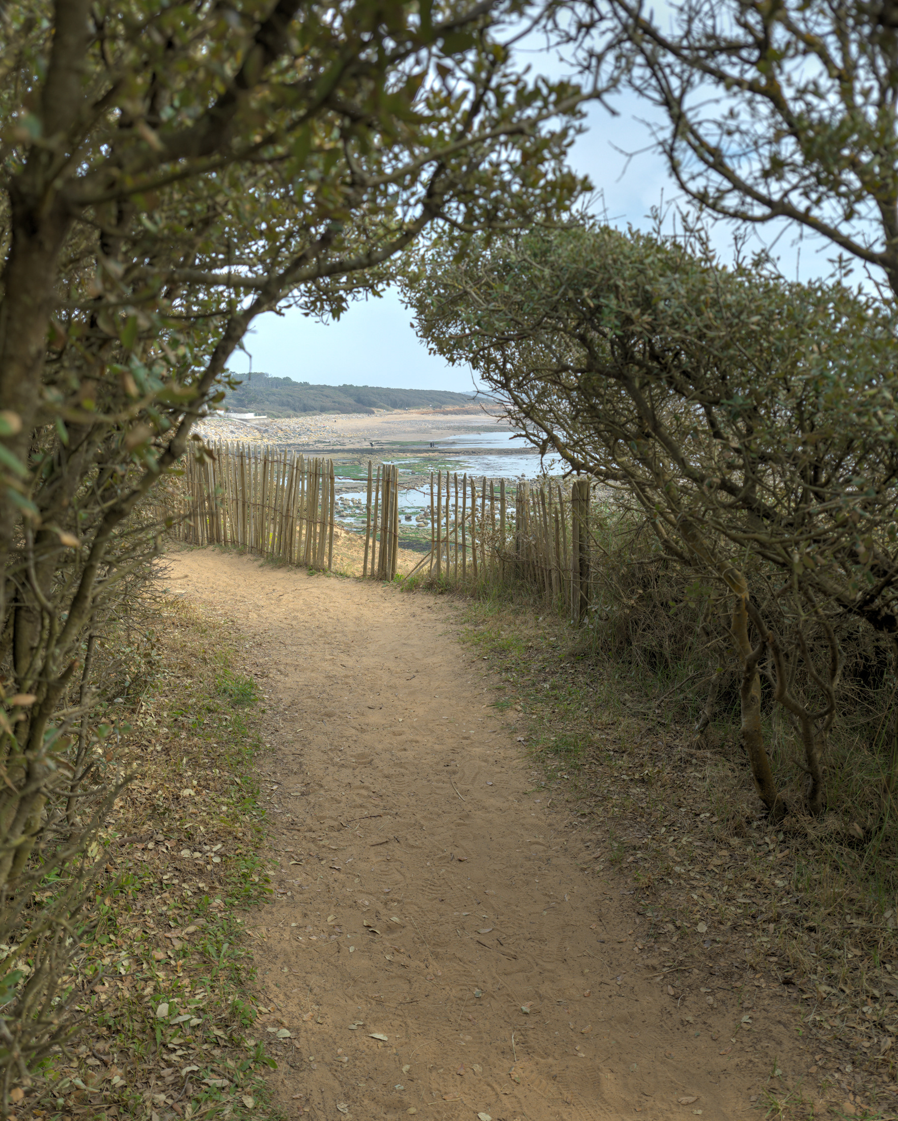 Côte près du port de Bourgenay, I