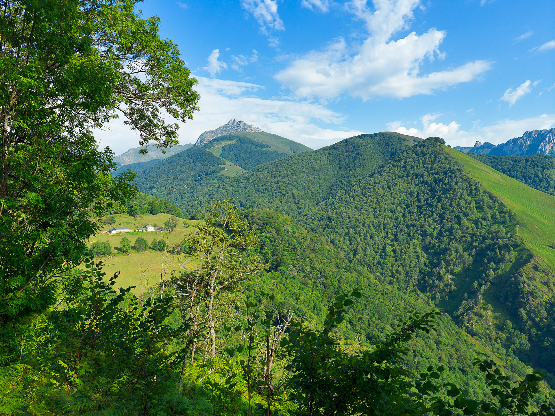 Vallée d'Aspe, vers Bedous, III