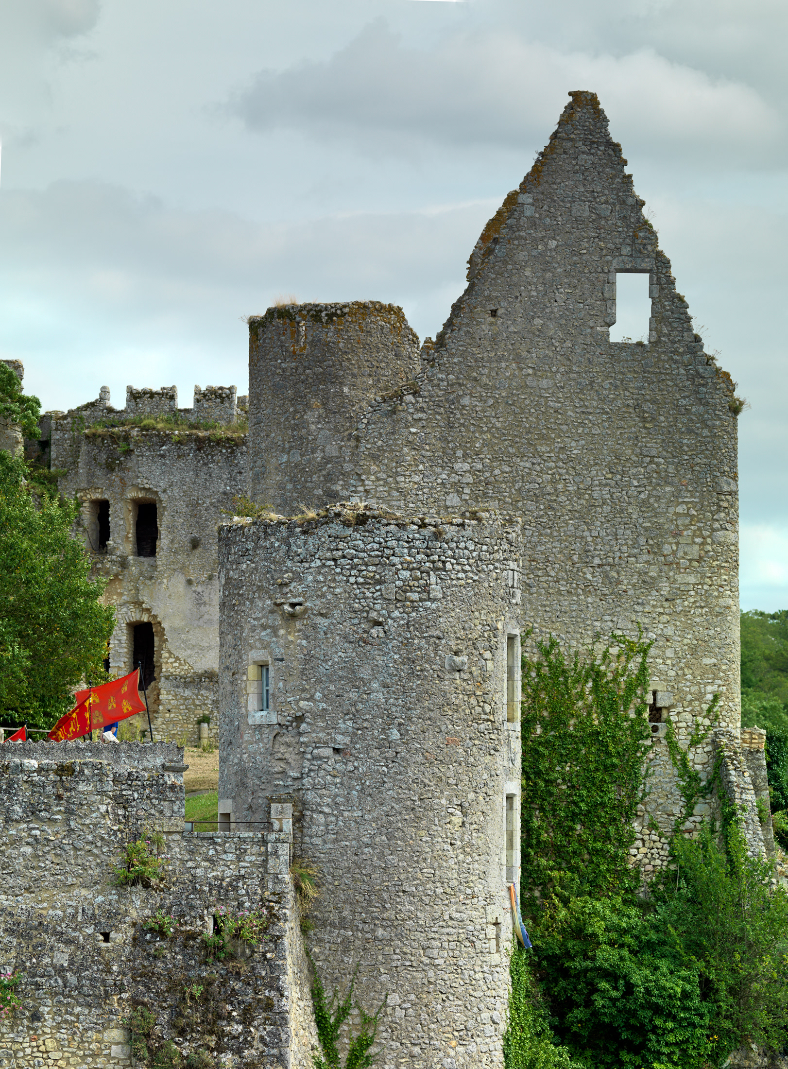 Château d'Angles-sur-l'Anglin I