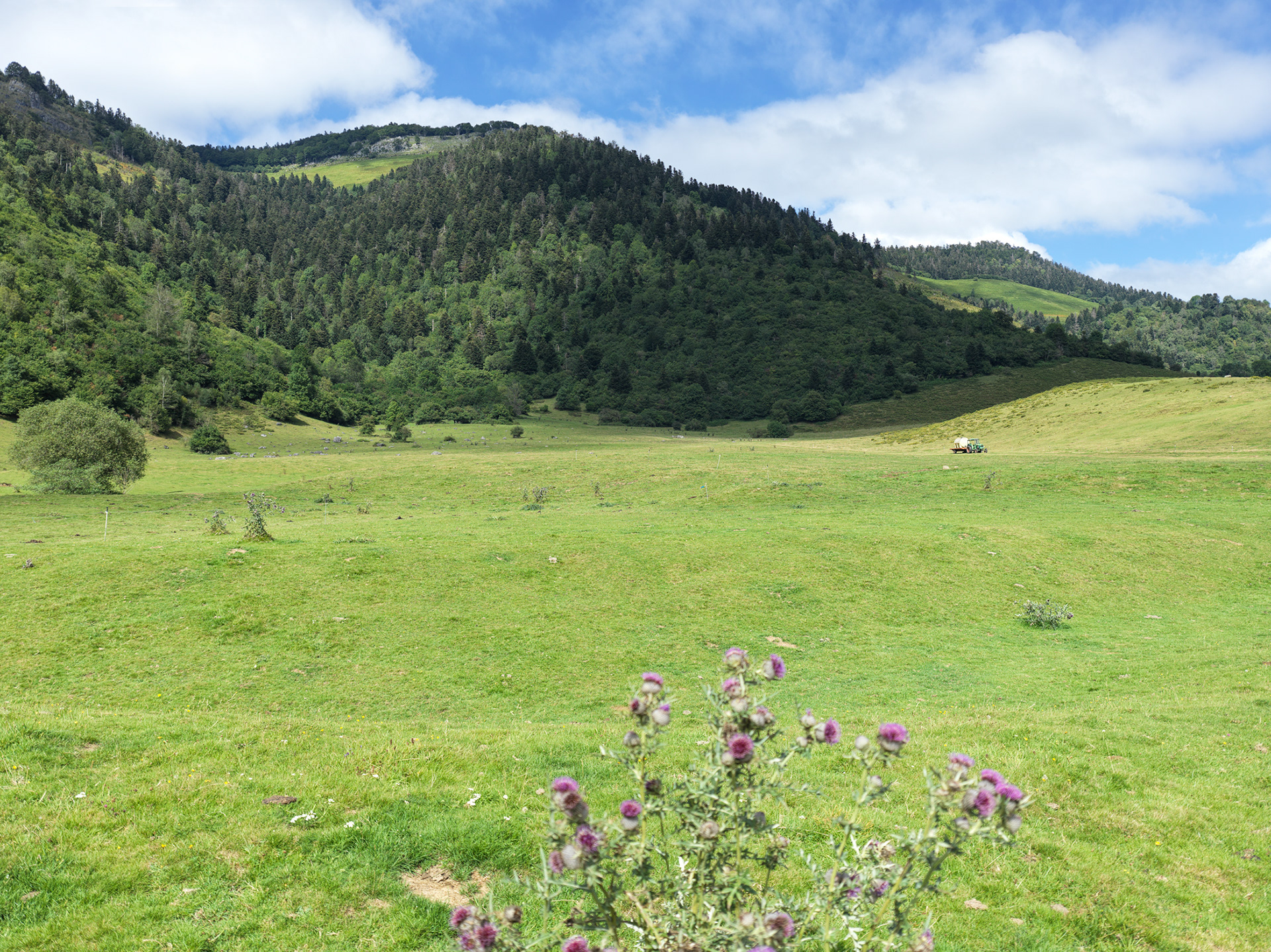 Plateau du Bénou, IV