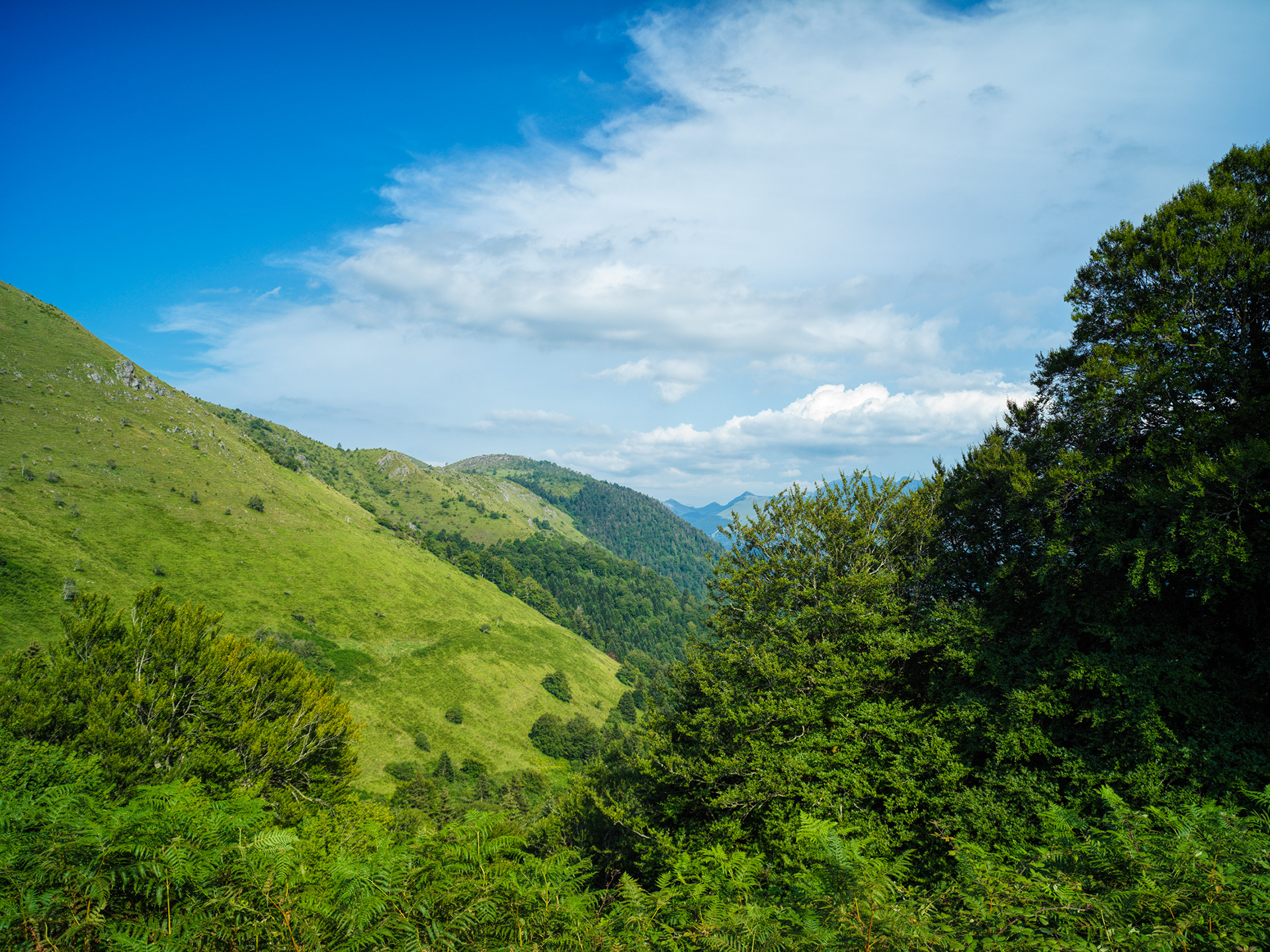 Col de Marie-Blanque, vue d'une vallée, II