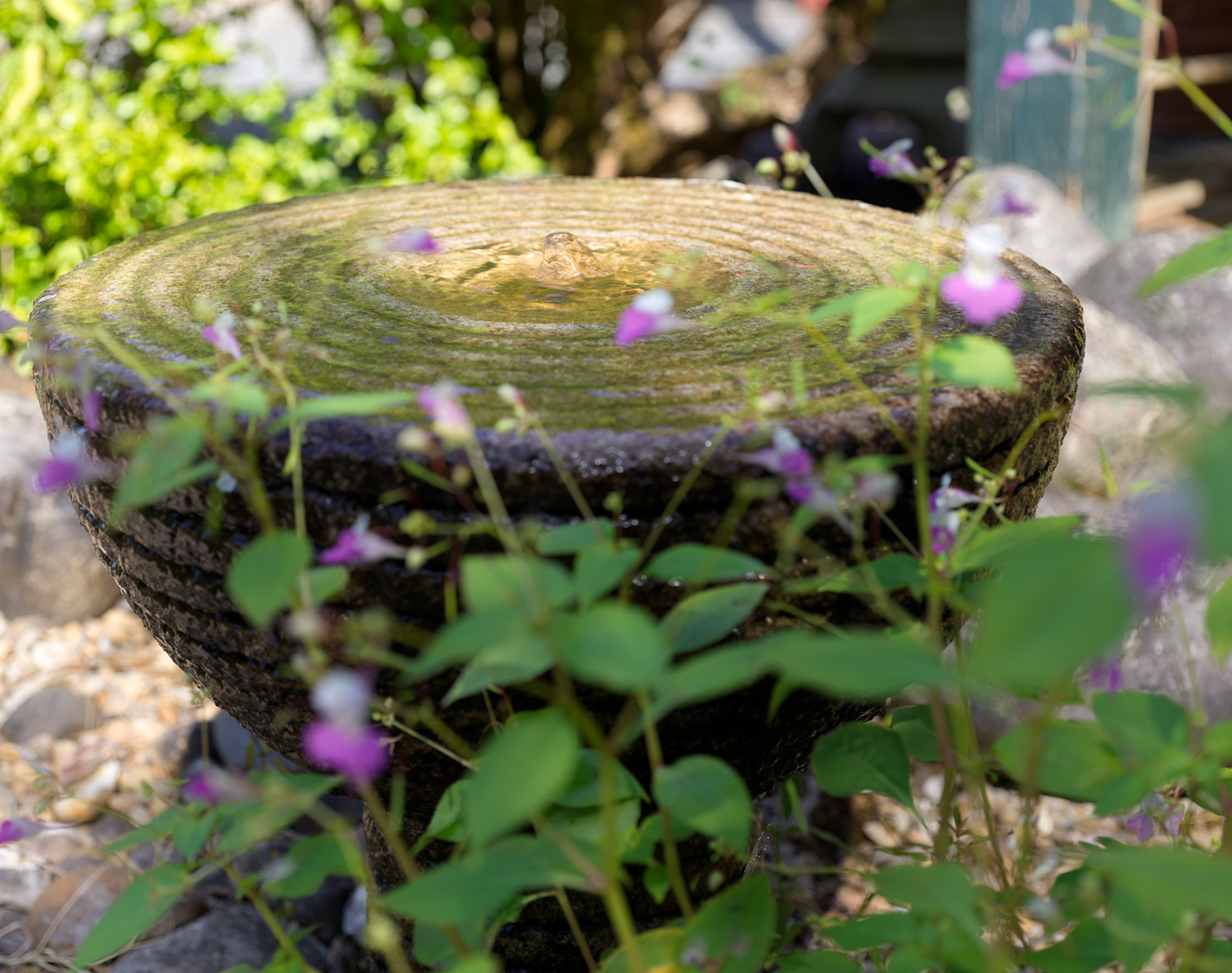 Jardins de Beauchamp, à côté de la jardinerie Jay, Marmandes, I