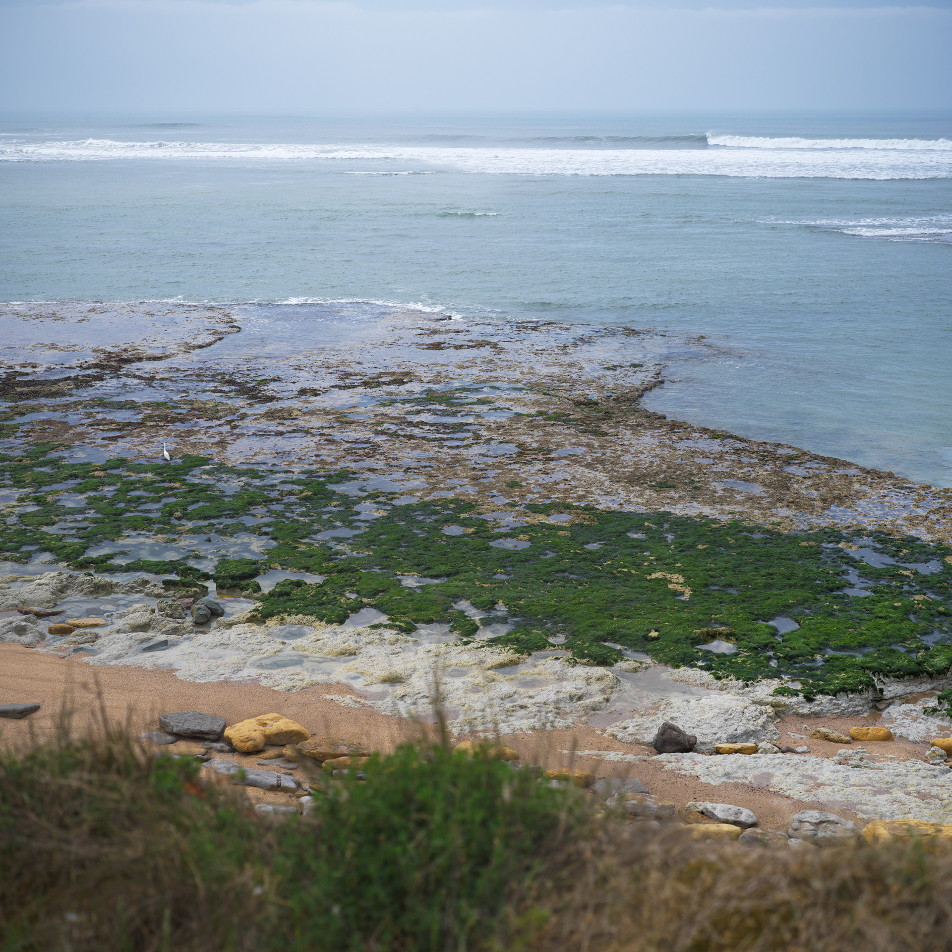 Côte près du port de Bourgenay, XII