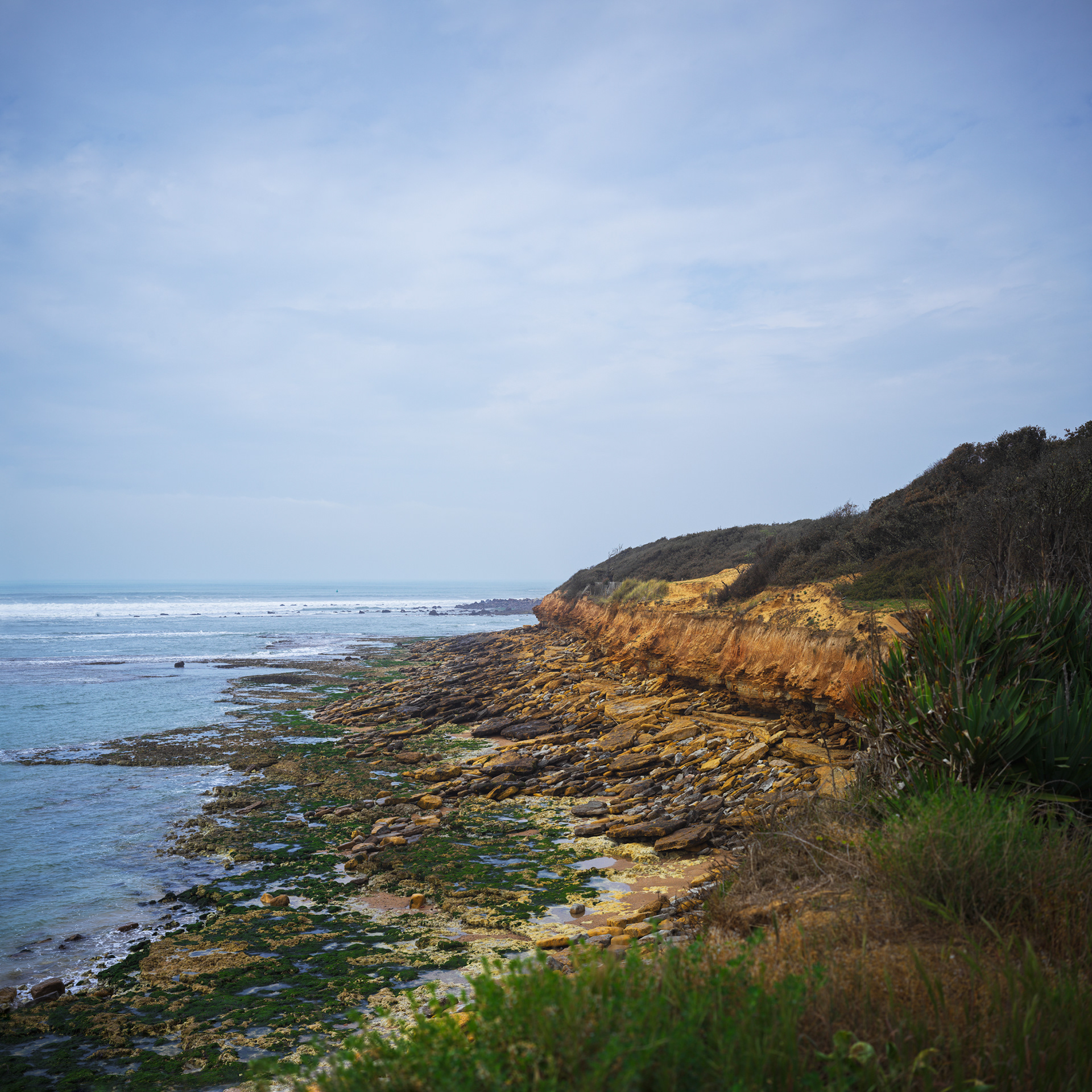 Côte près du port de Bourgenay, X