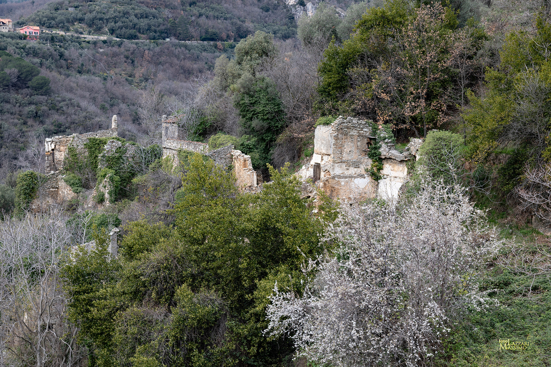 Rovine nei pressi di Castelvecchio Rocca di Barbena