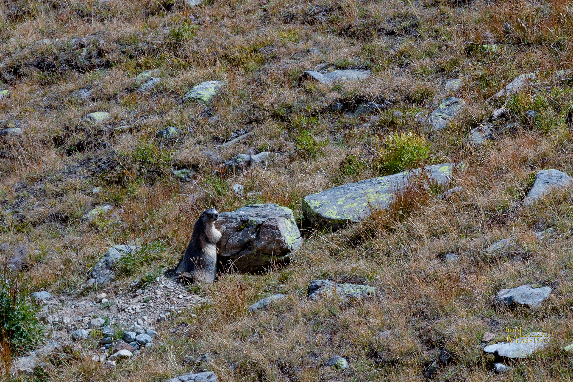 Pian del Nivolet