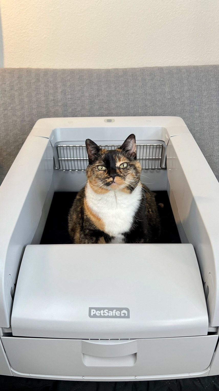 PetSafe Litter Box