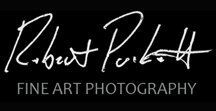 Robert E Puckett Jr