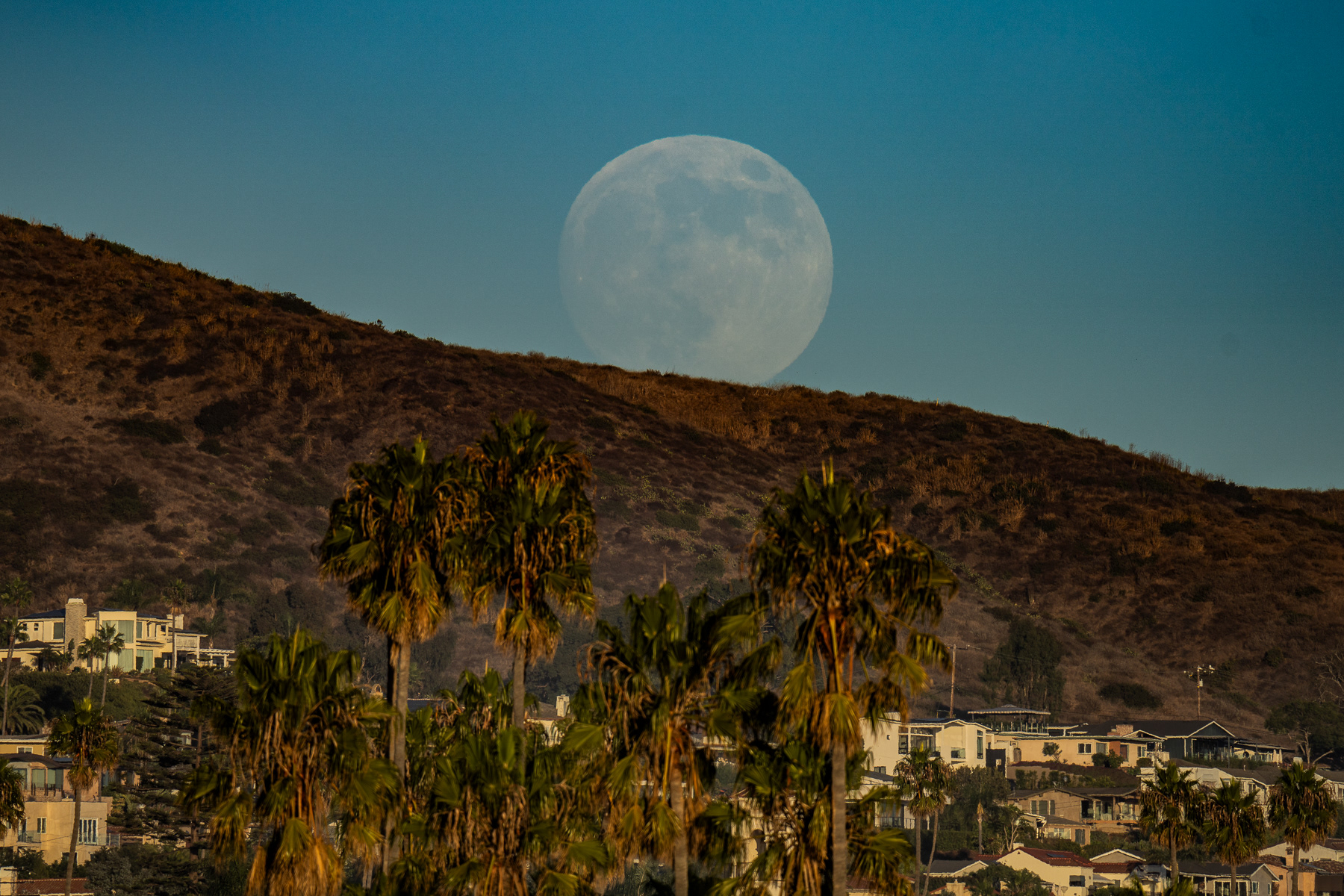 Moonrise - Ventura 01794