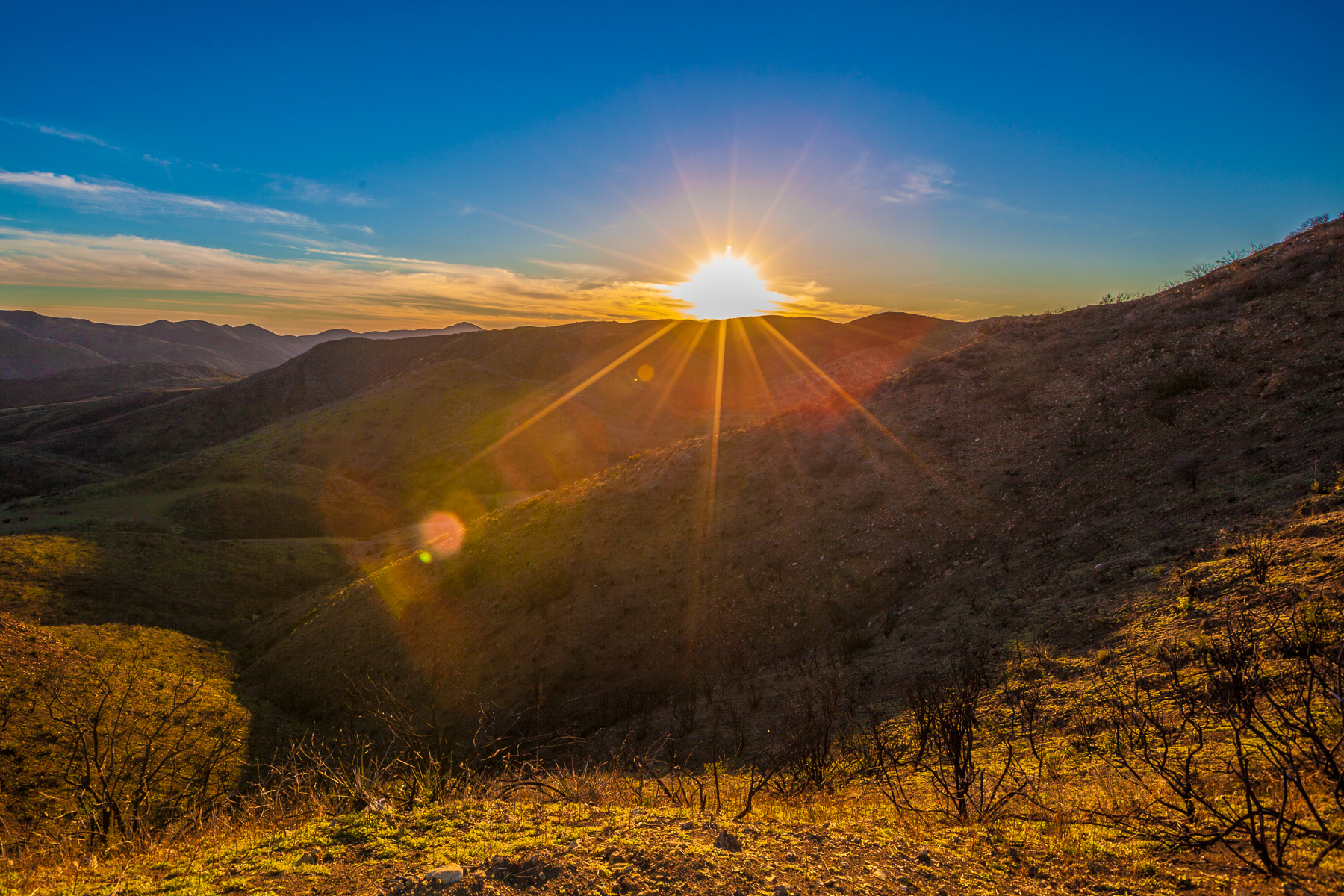 Sunset - Thousand Oaks 9788