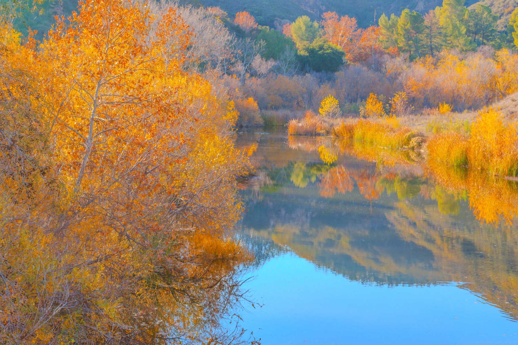 Fall Scene 0499 - Mammoth Lakes