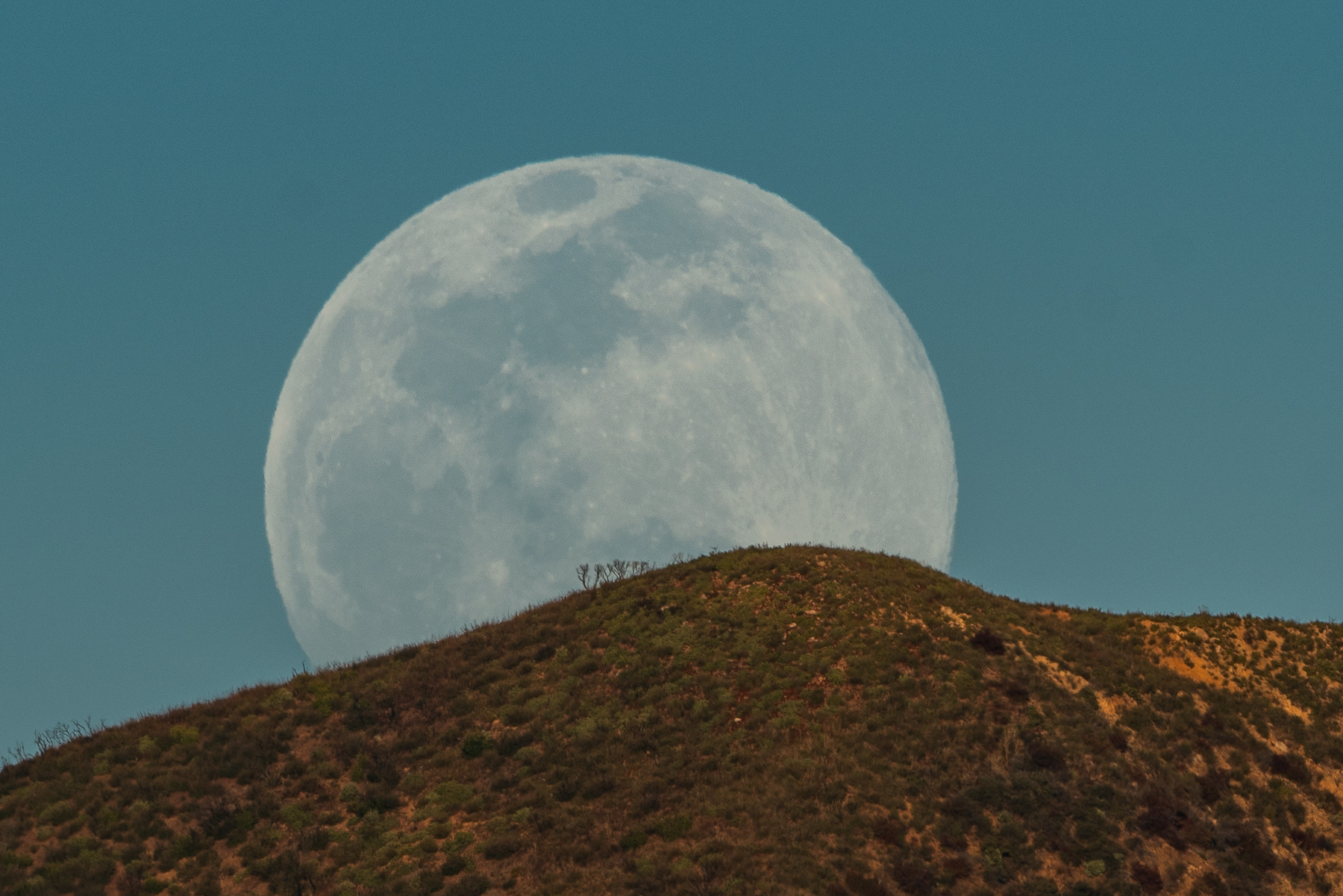 Moonrise- Topa Topa 03576