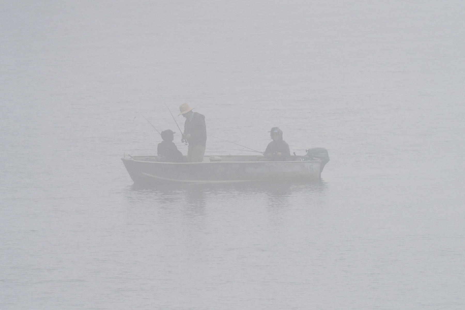 Fishing in Mist 03323 - Lake Casitas