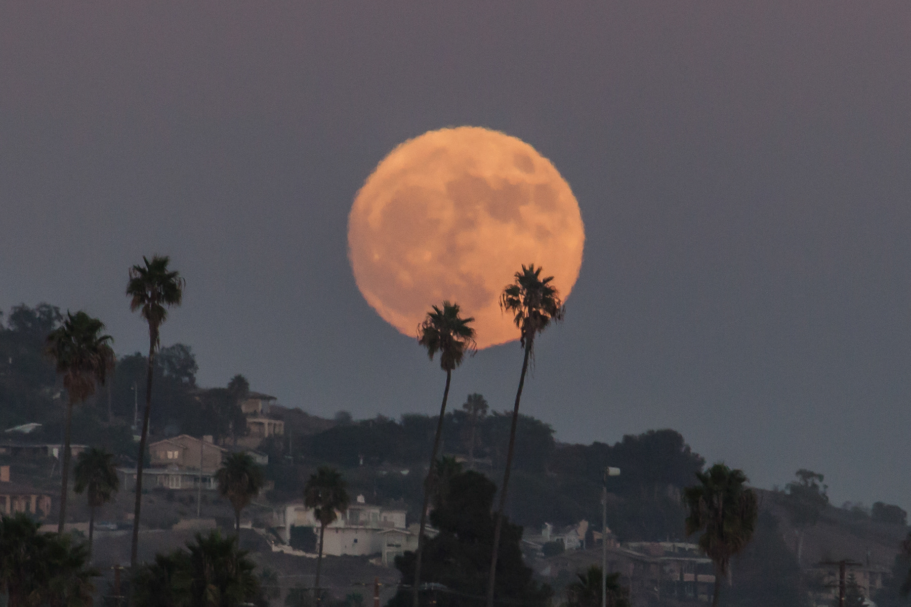 Supermoon - Ventura 6530