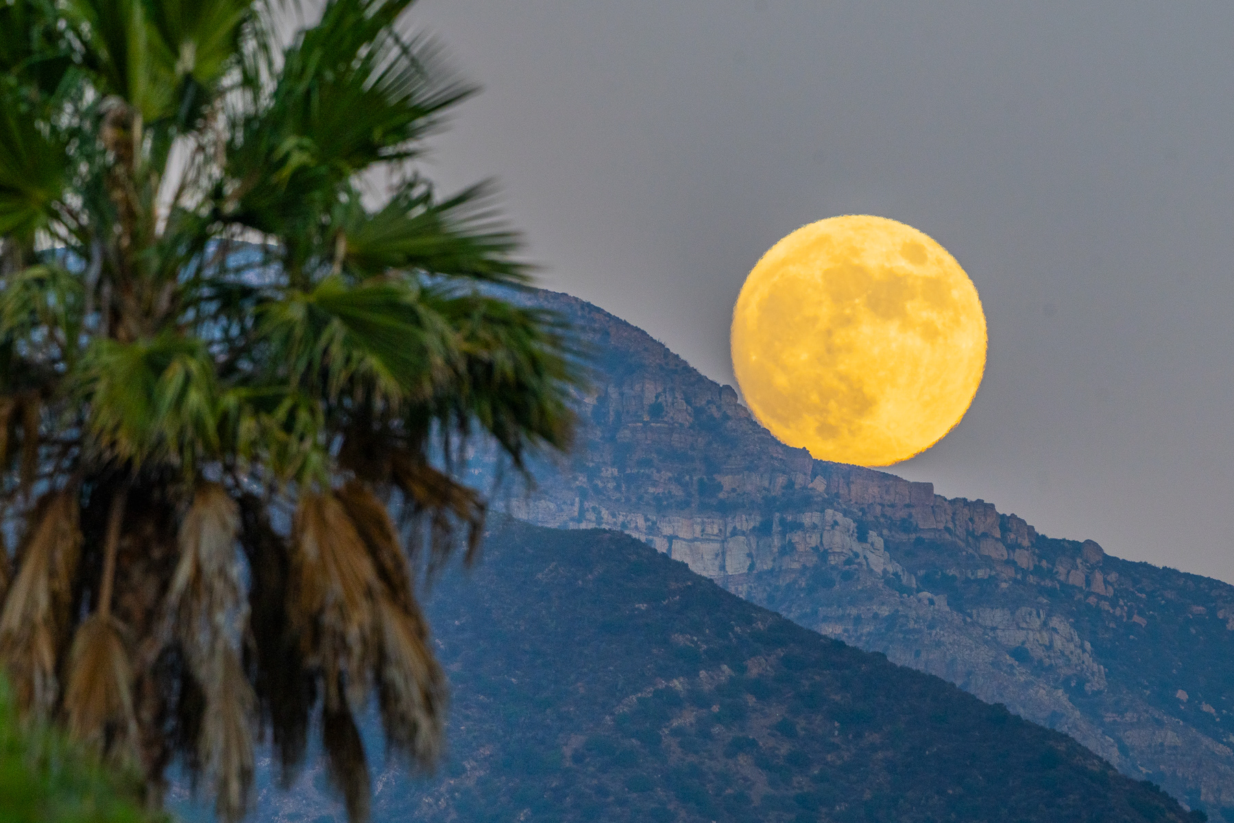 Moonrise - Topa Topa 09437