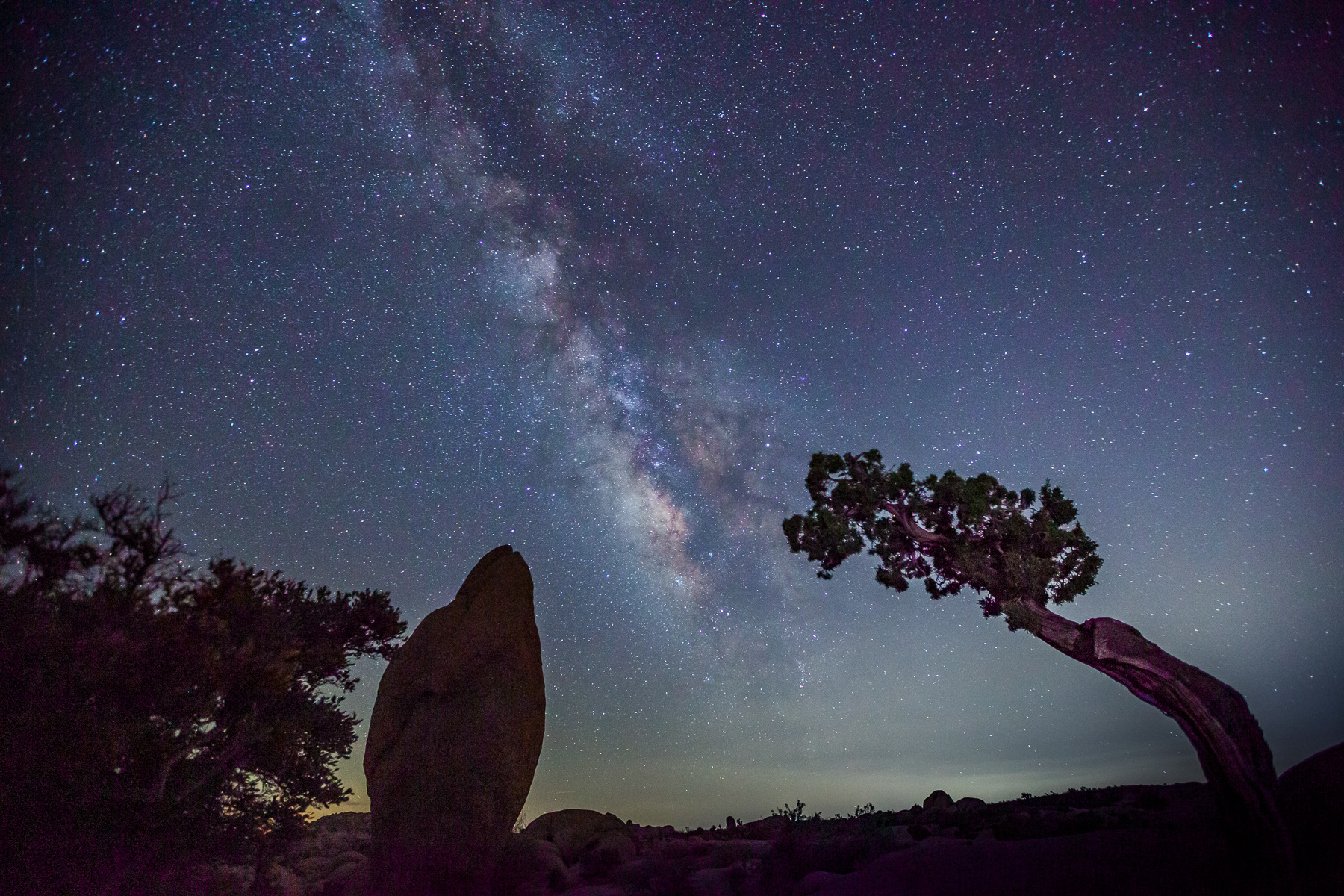 Milky Way - Joshua Tree 1845