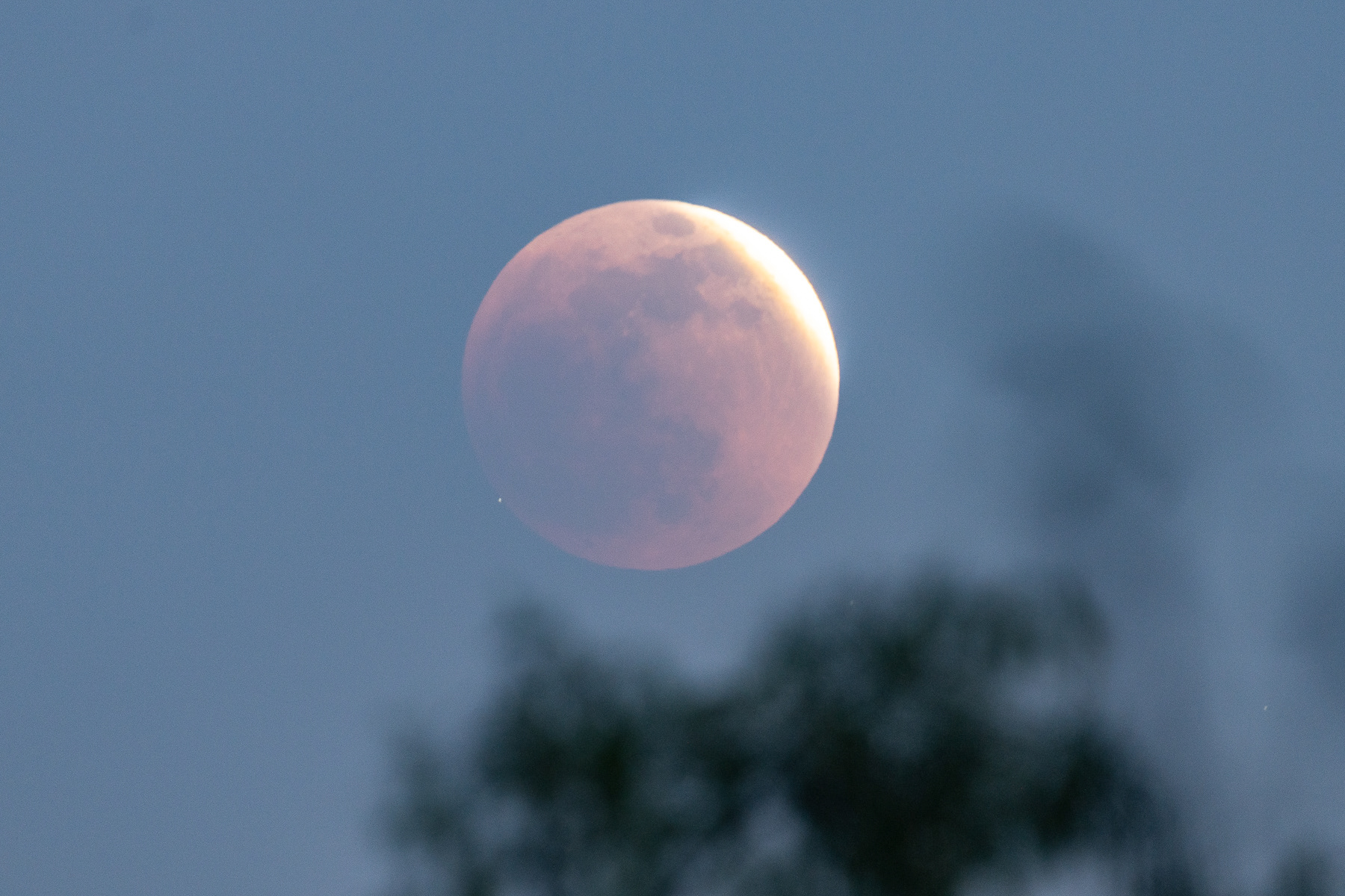 Blood Moon 07681