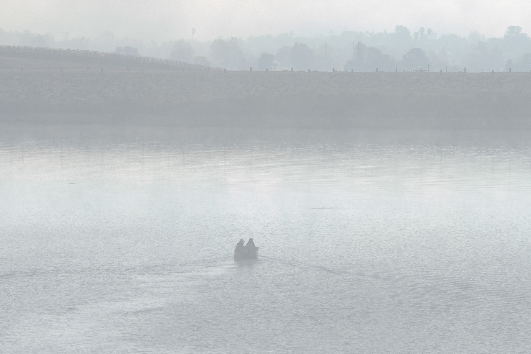 Into the Mist 03326 - Lake Casitas