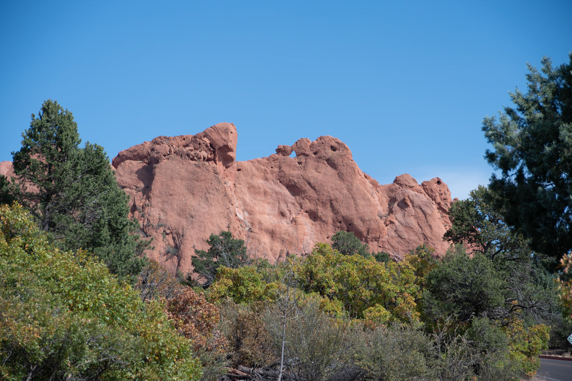 A stunning view of rugged red rocks amidst lush greenery with a clear blue sky in the background, showcasing natural beauty and tranquility.