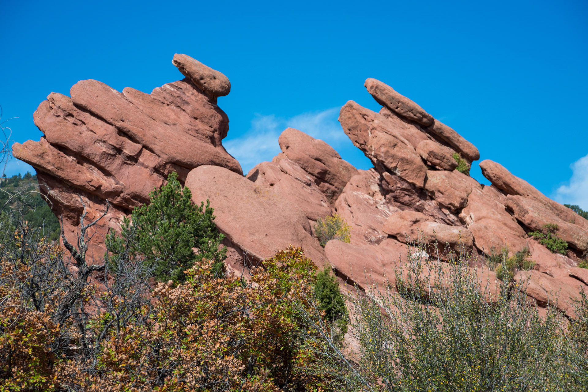 Stunning red sandstone formations surrounded by green vegetation under a bright blue sky, creating a breathtaking natural scene. The unique geology showcases nature's artistic architecture.